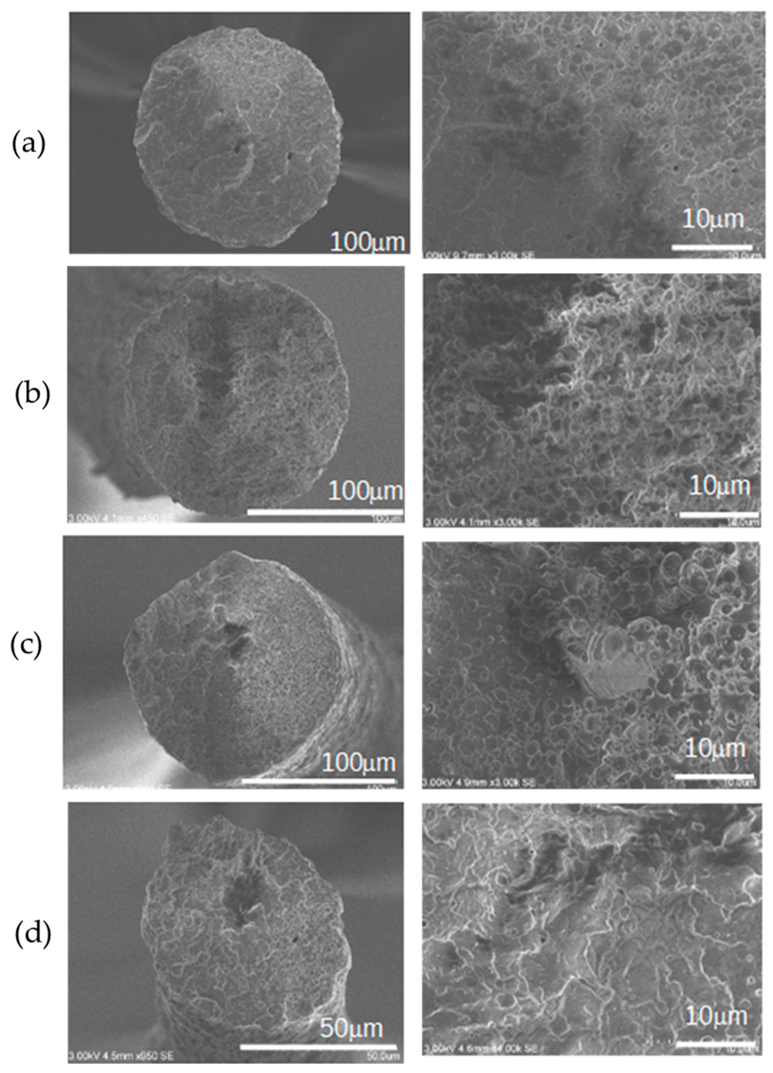 Fibers 11 00016 g007
