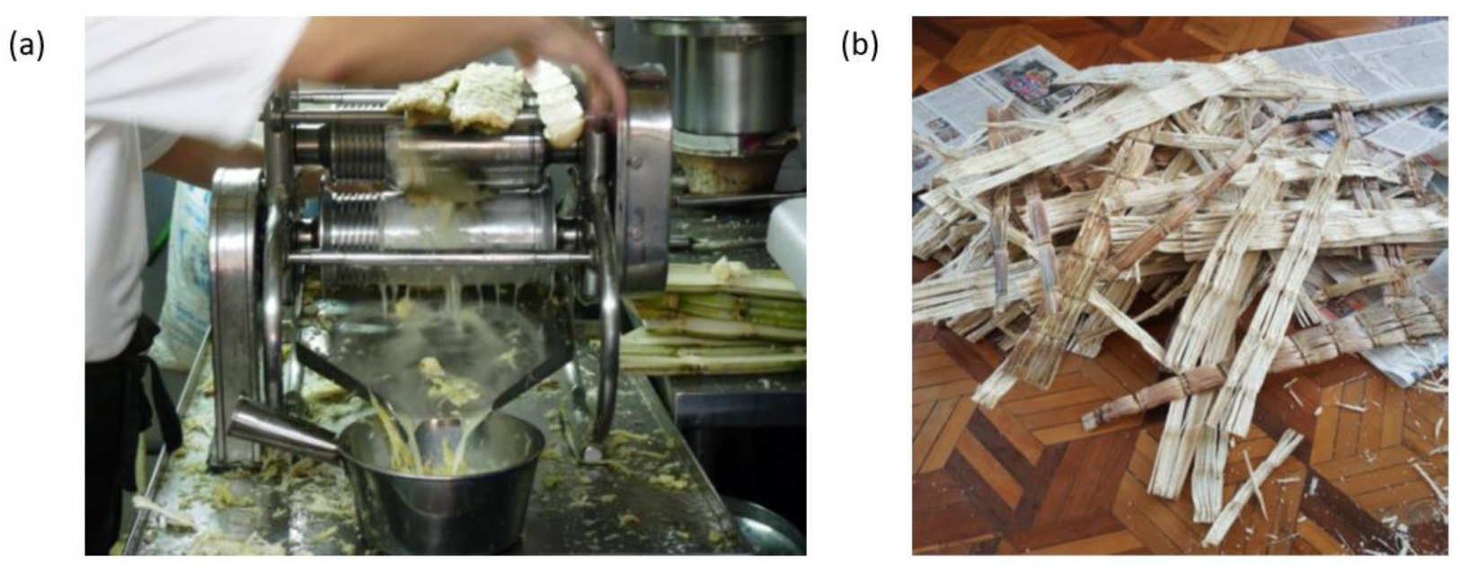 Fibers 11 00018 g001