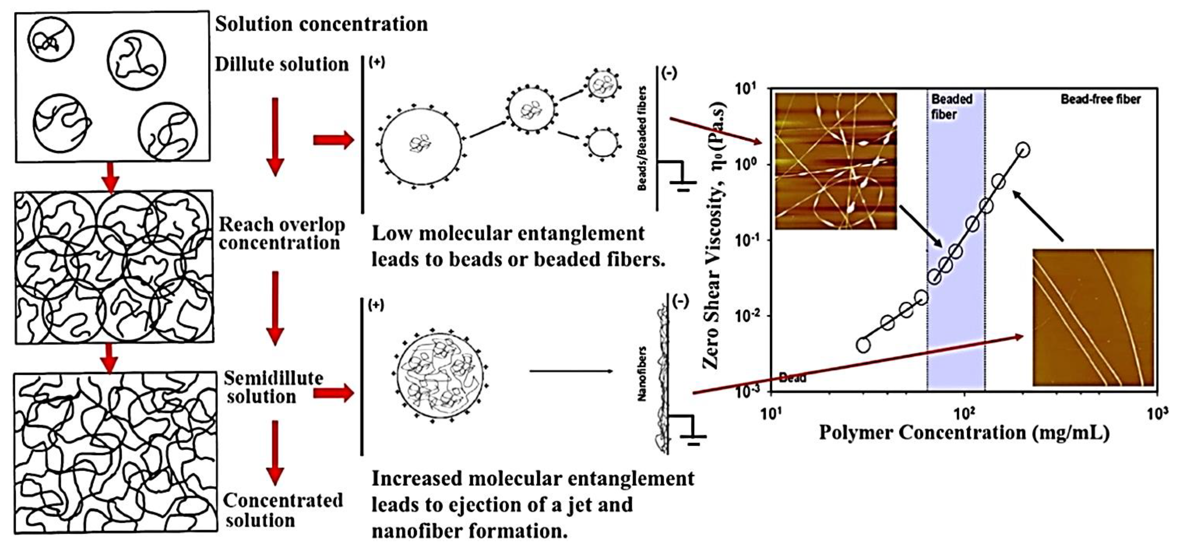 Fibers 11 00021 g004