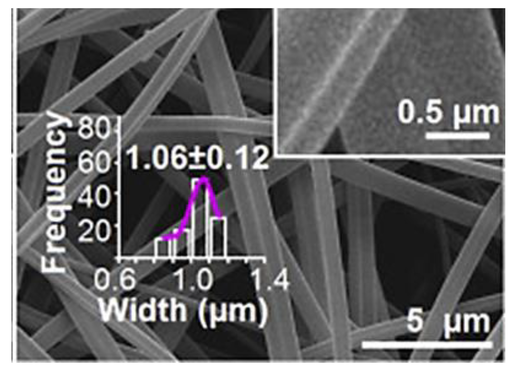 Fibers 11 00021 g013