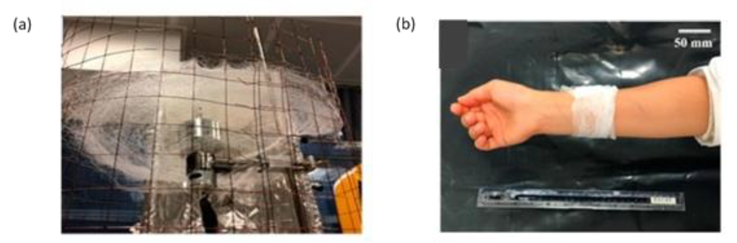 Fibers 11 00021 g019