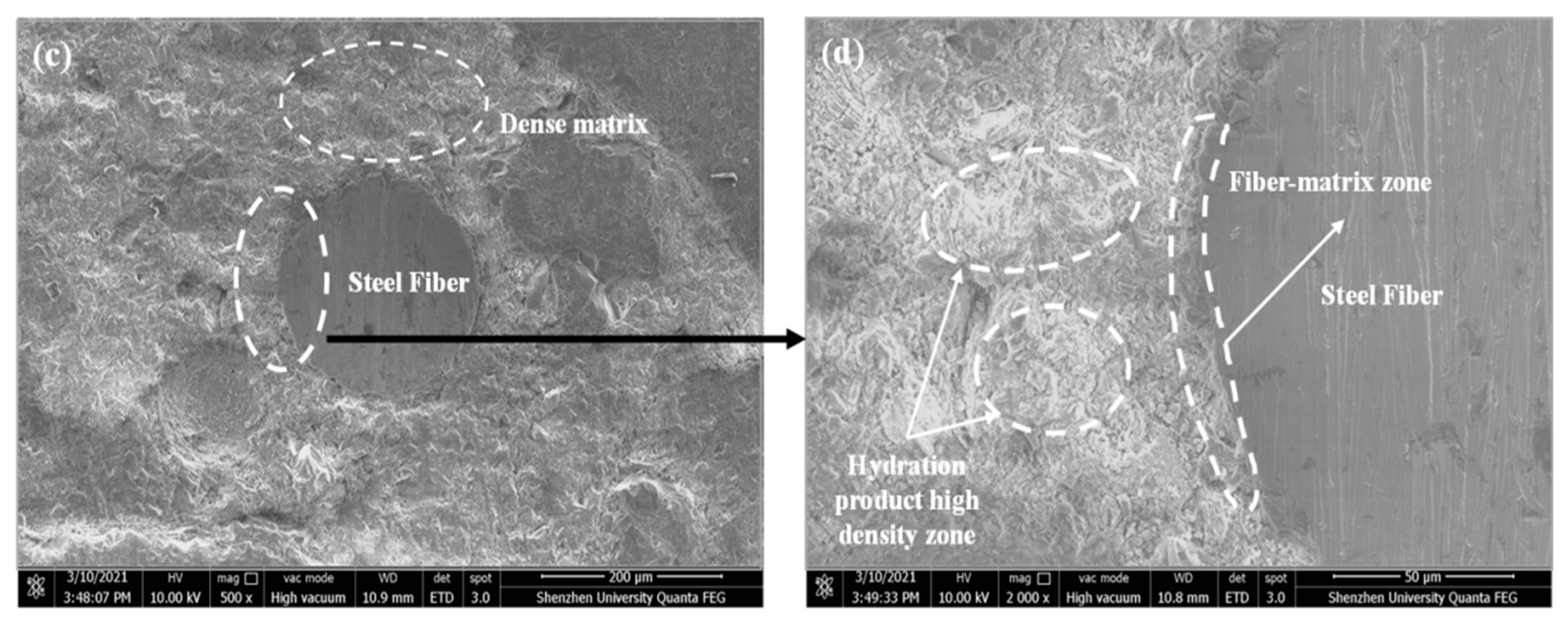 Fibers 11 00023 g010b