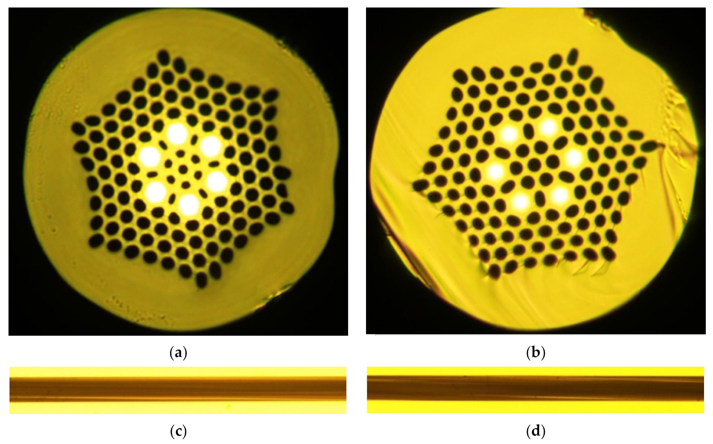 Fibers 11 00028 g009