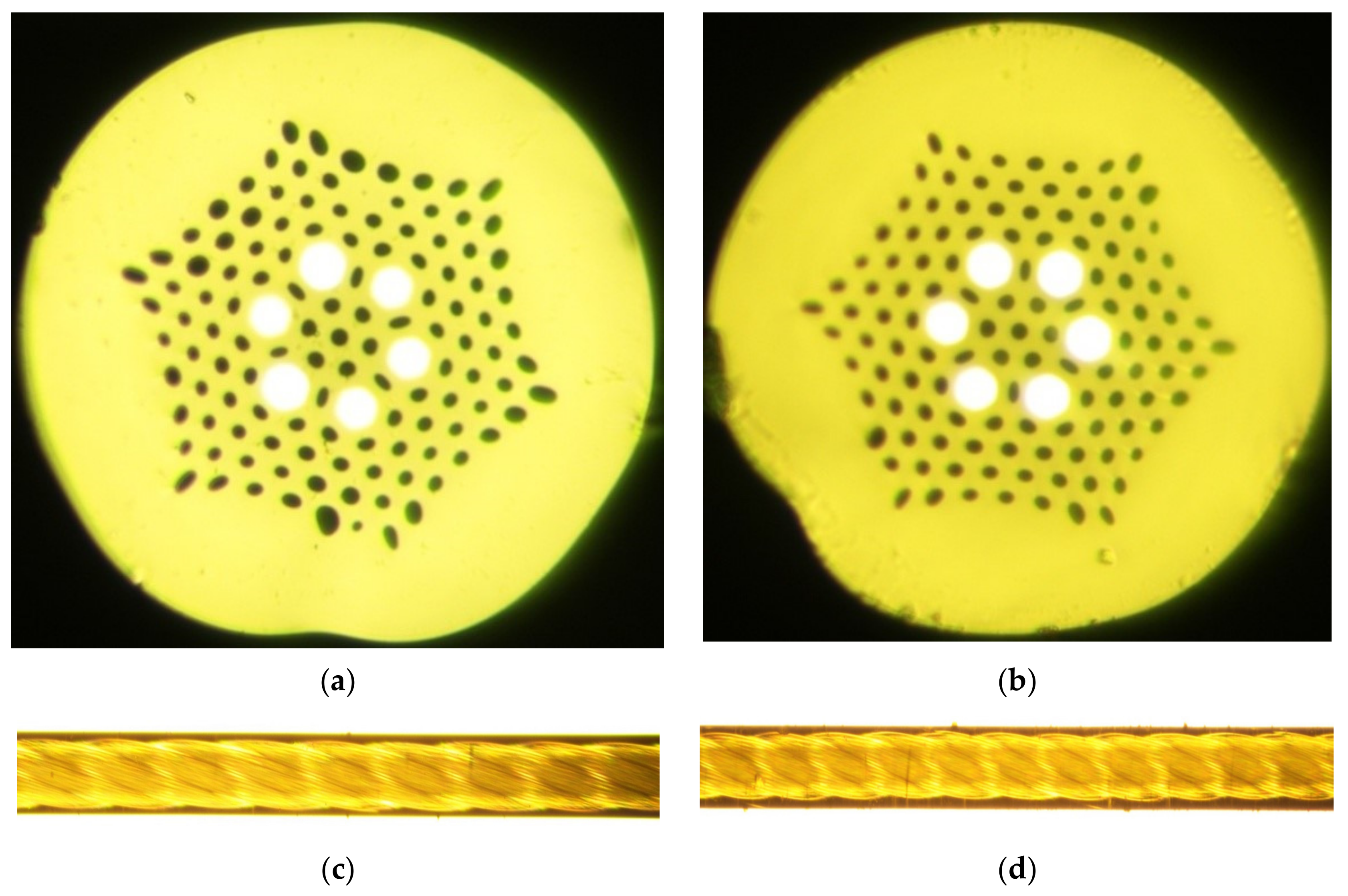Fibers 11 00028 g011