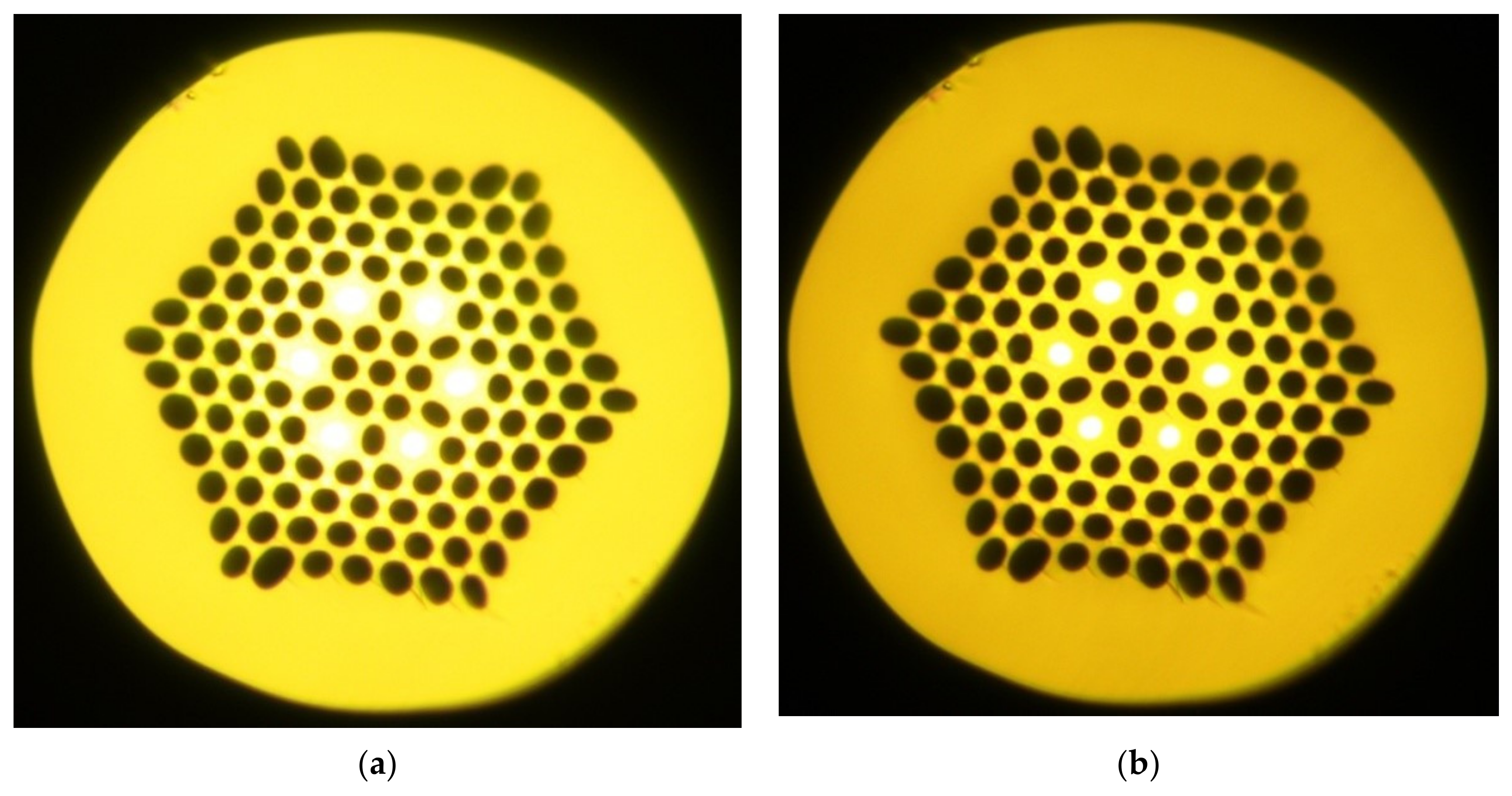 Fibers 11 00028 g013