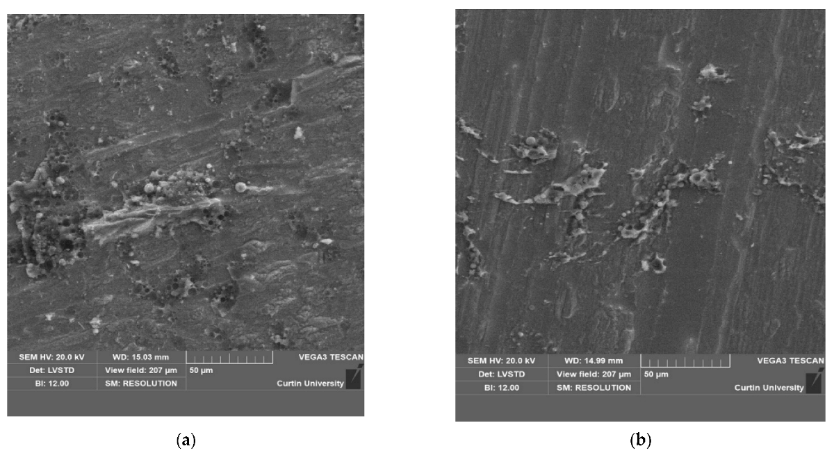 Fibers 11 00031 g013