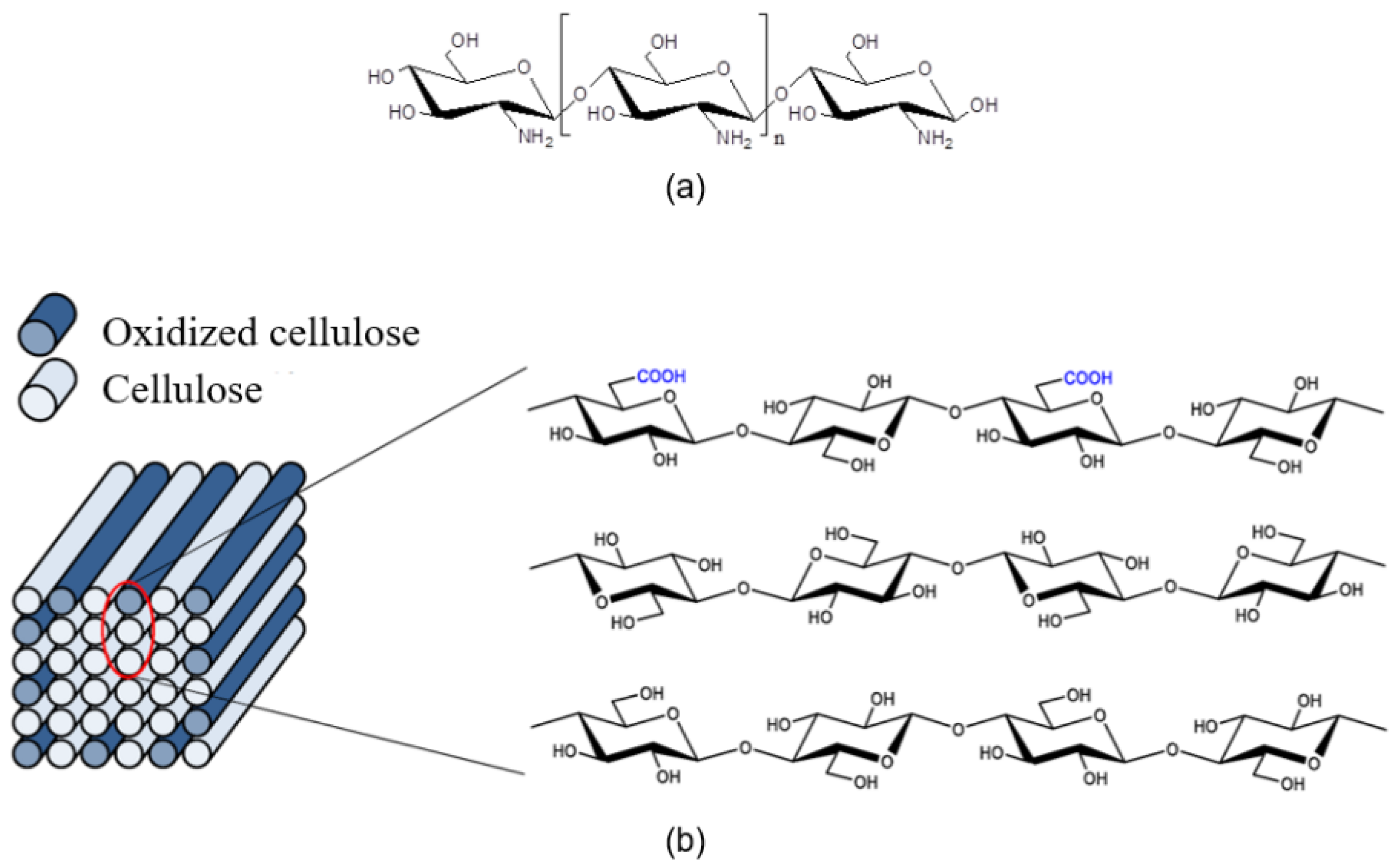 Fibers 11 00032 g002 Fibers 11 00032 g002