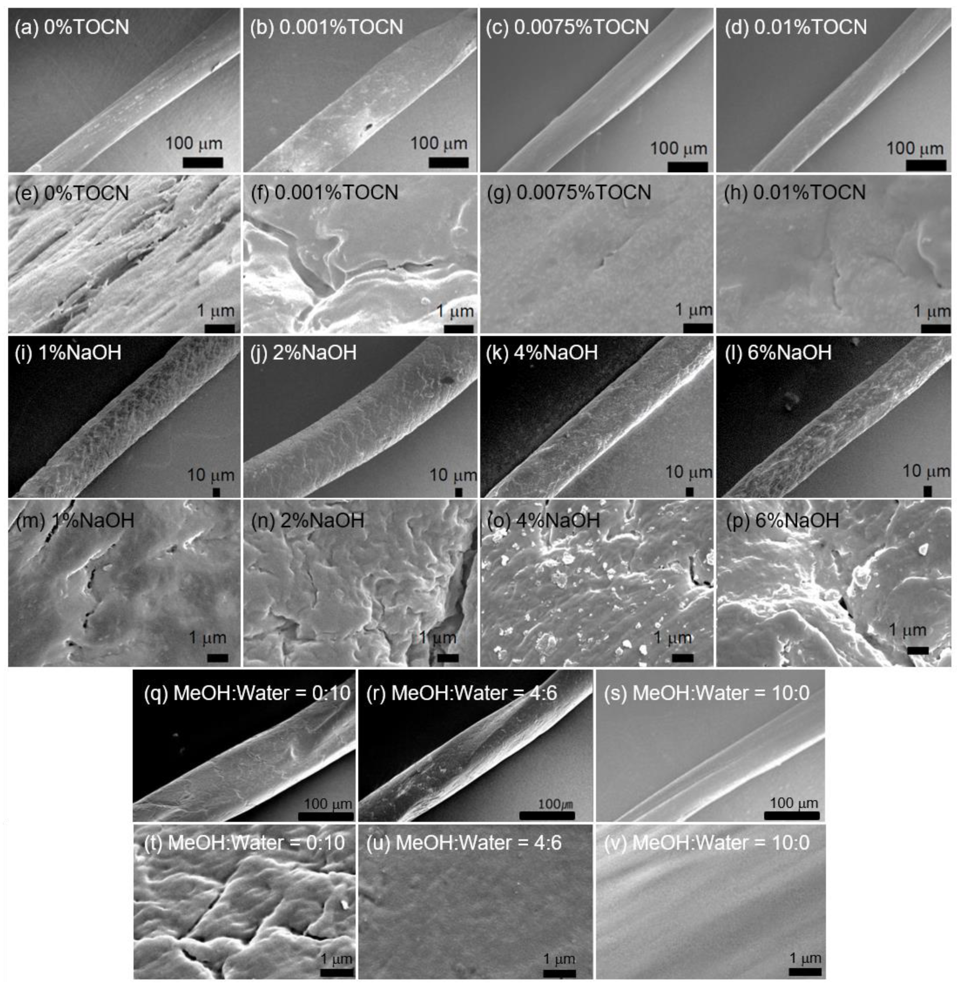 Fibers 11 00032 g004 Fibers 11 00032 g004