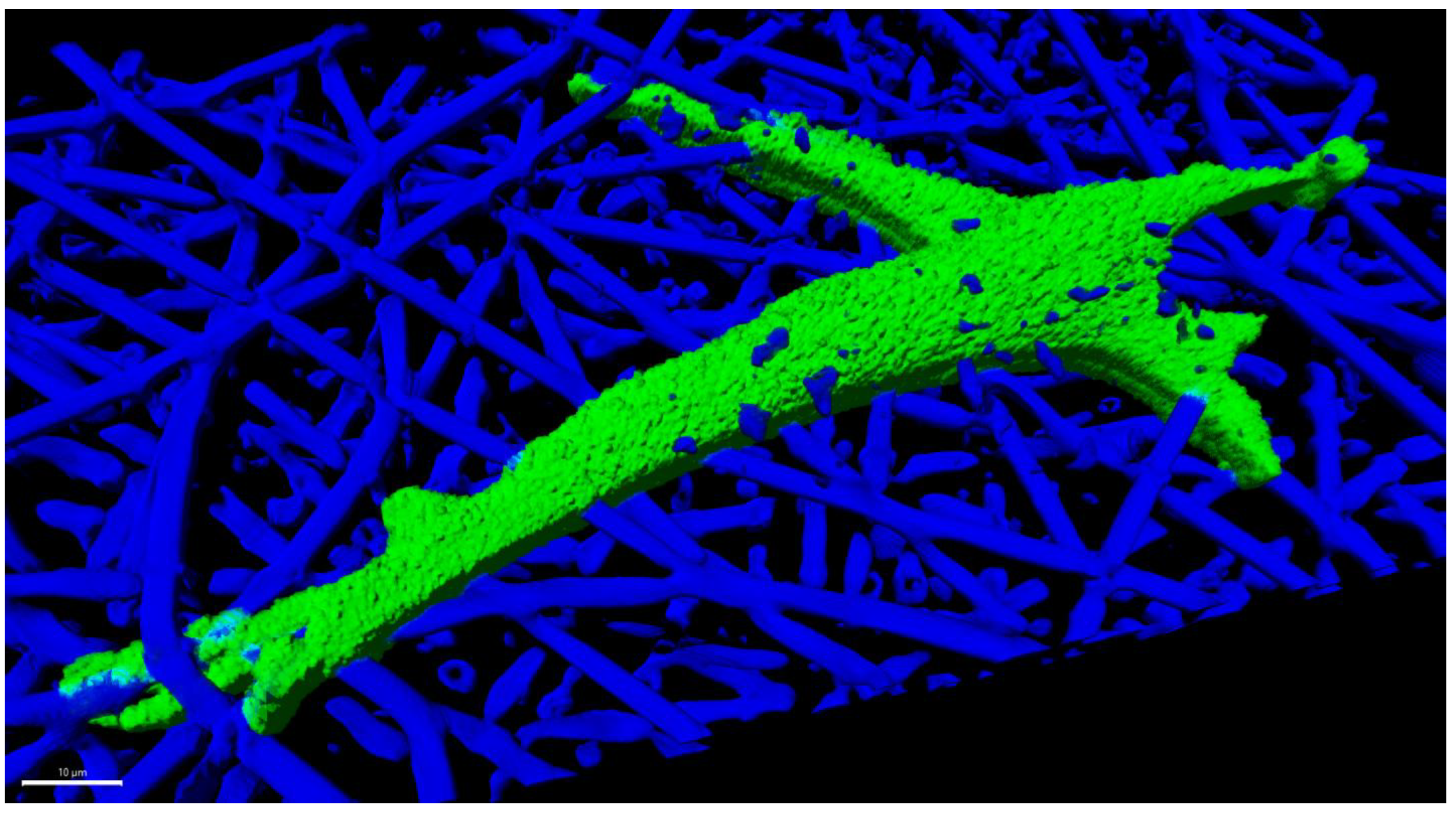 Fibers 11 00039 g001