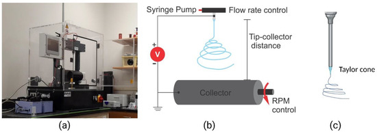 Fibers 11 00039 g002