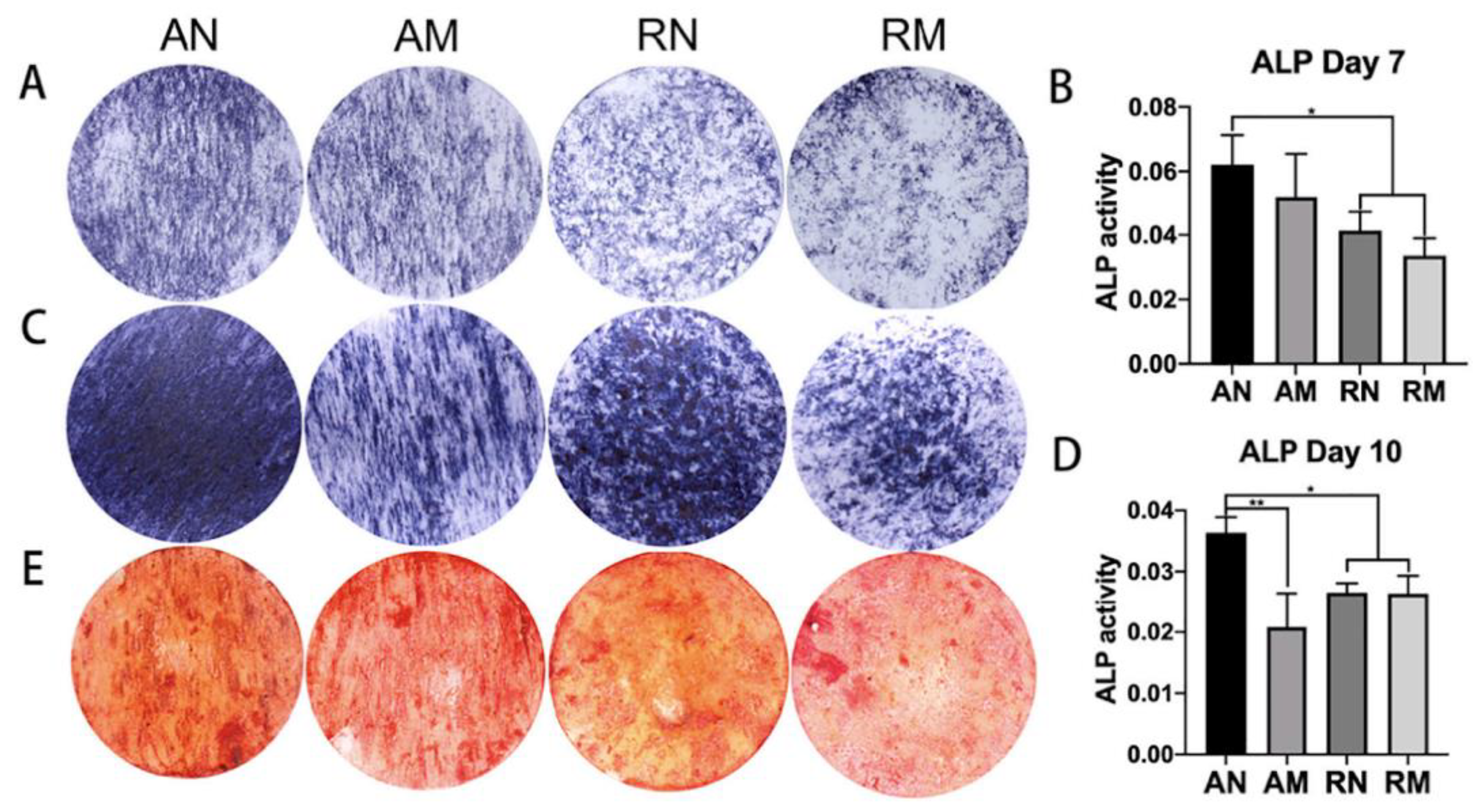 Fibers 11 00039 g004