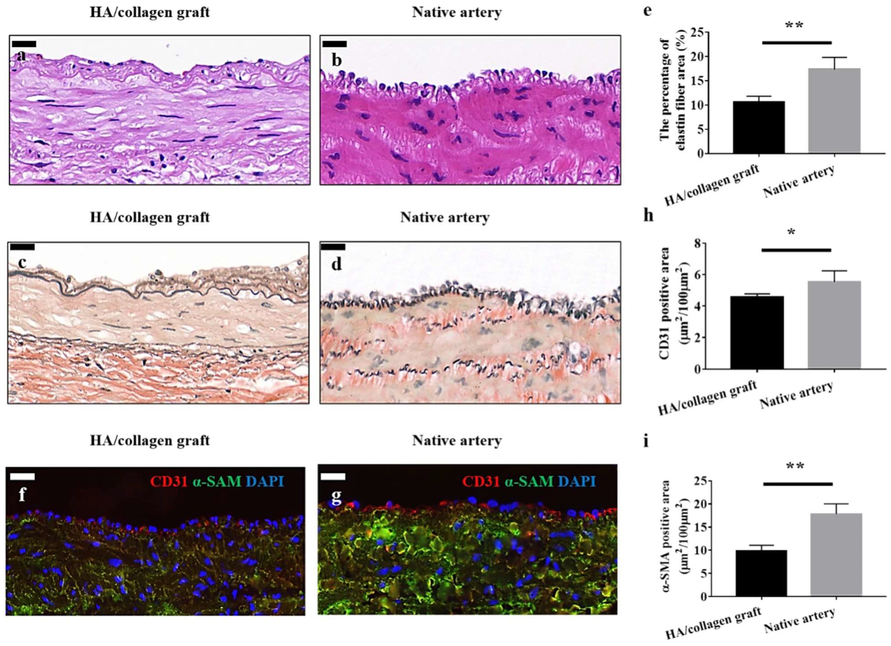 Fibers 11 00039 g010