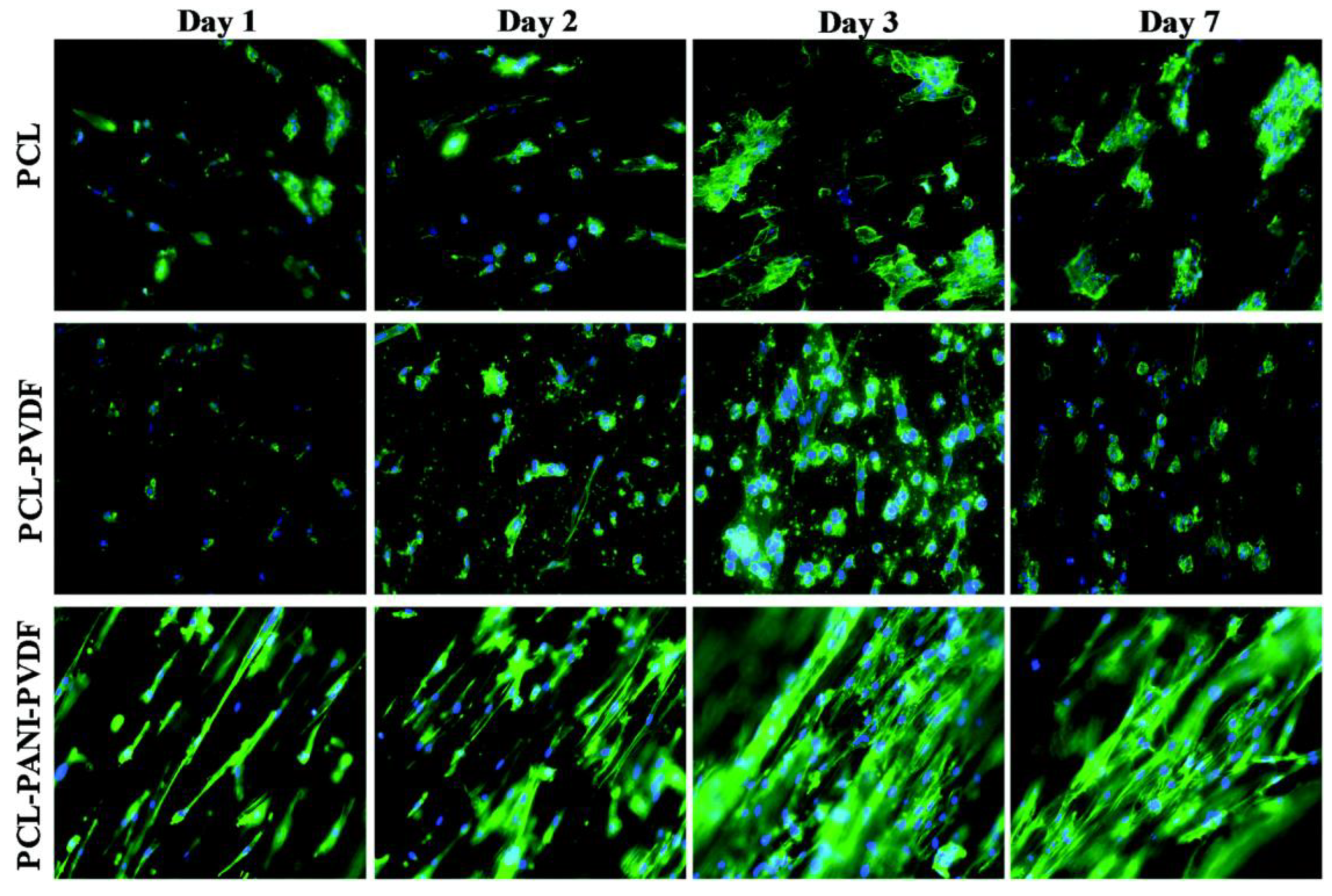 Fibers 11 00039 g011