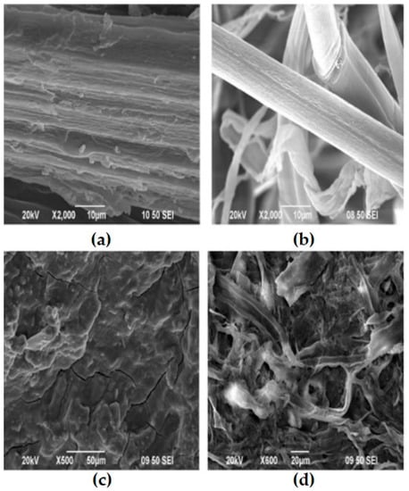 Fibers 11 00043 g003