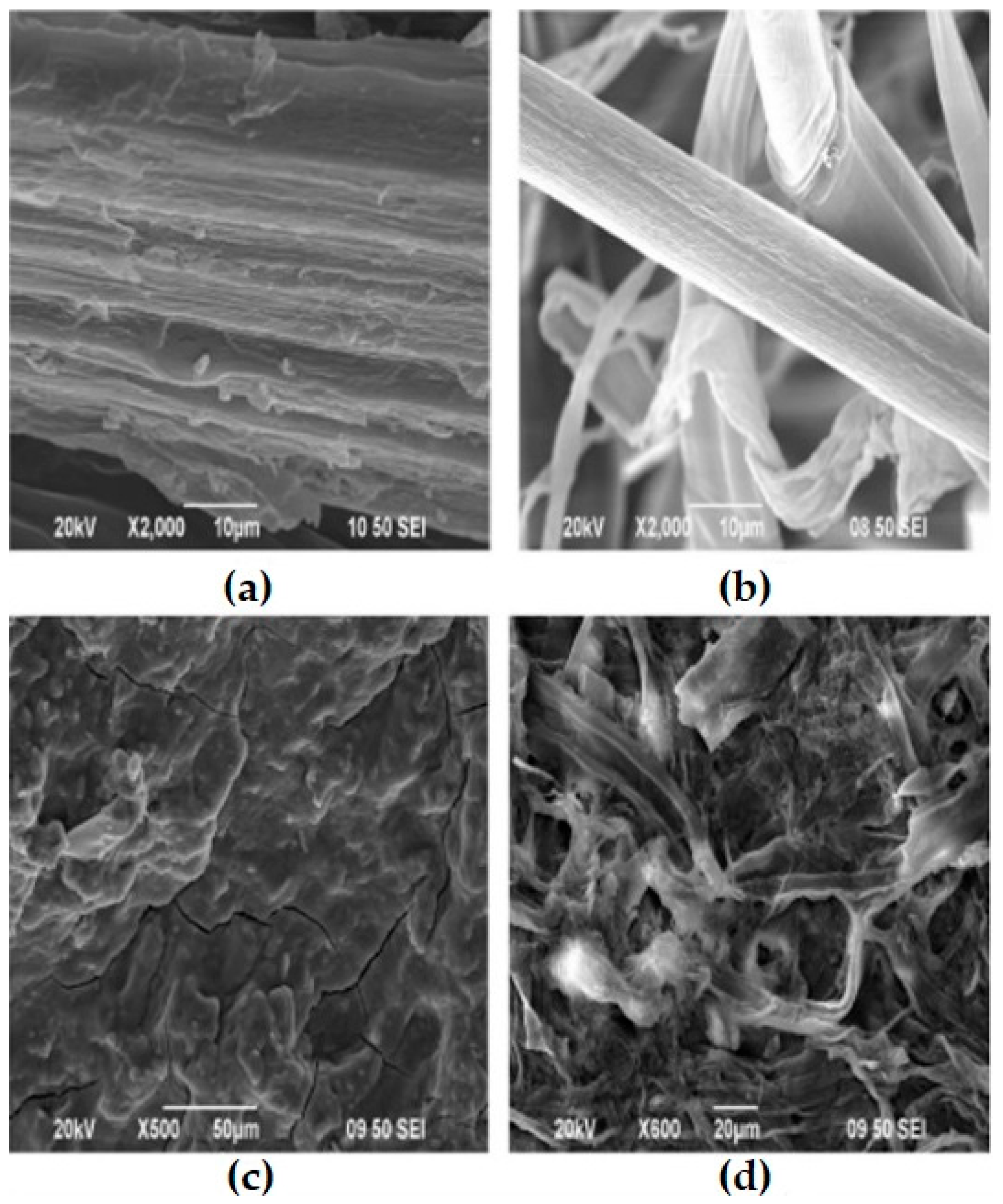 Fibers 11 00043 g003