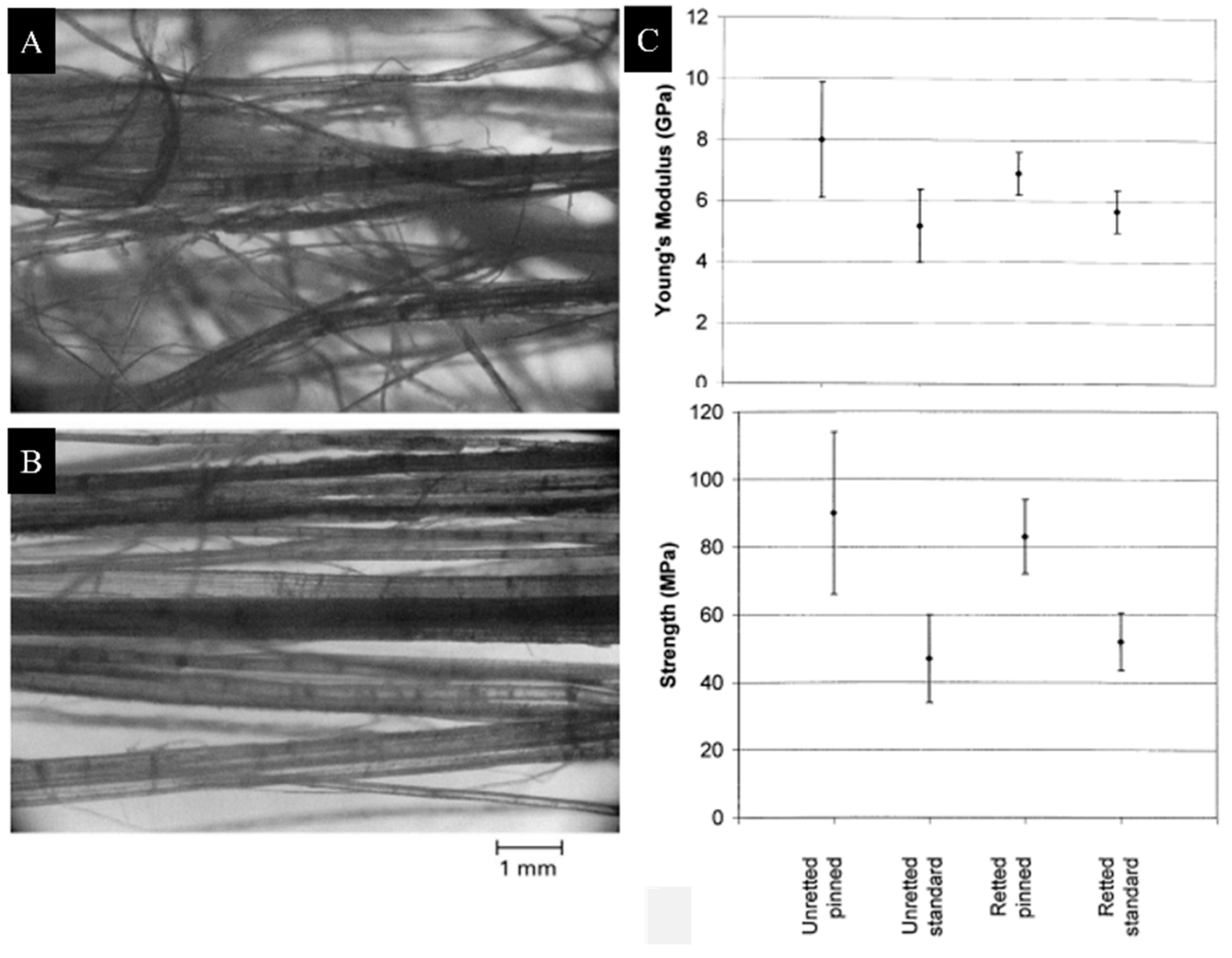 Fibers 11 00043 g004