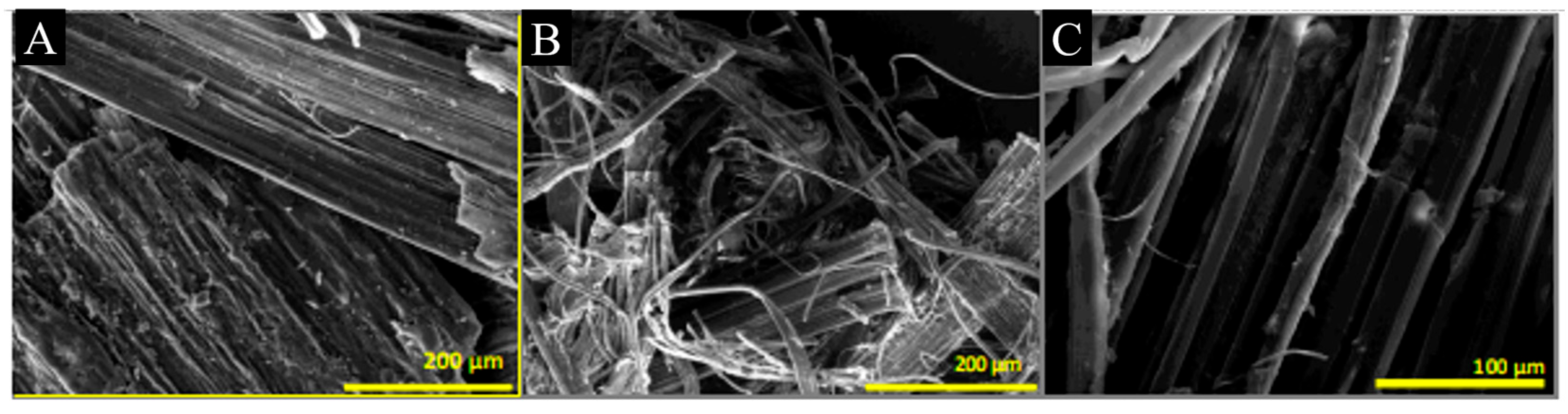 Fibers 11 00043 g005