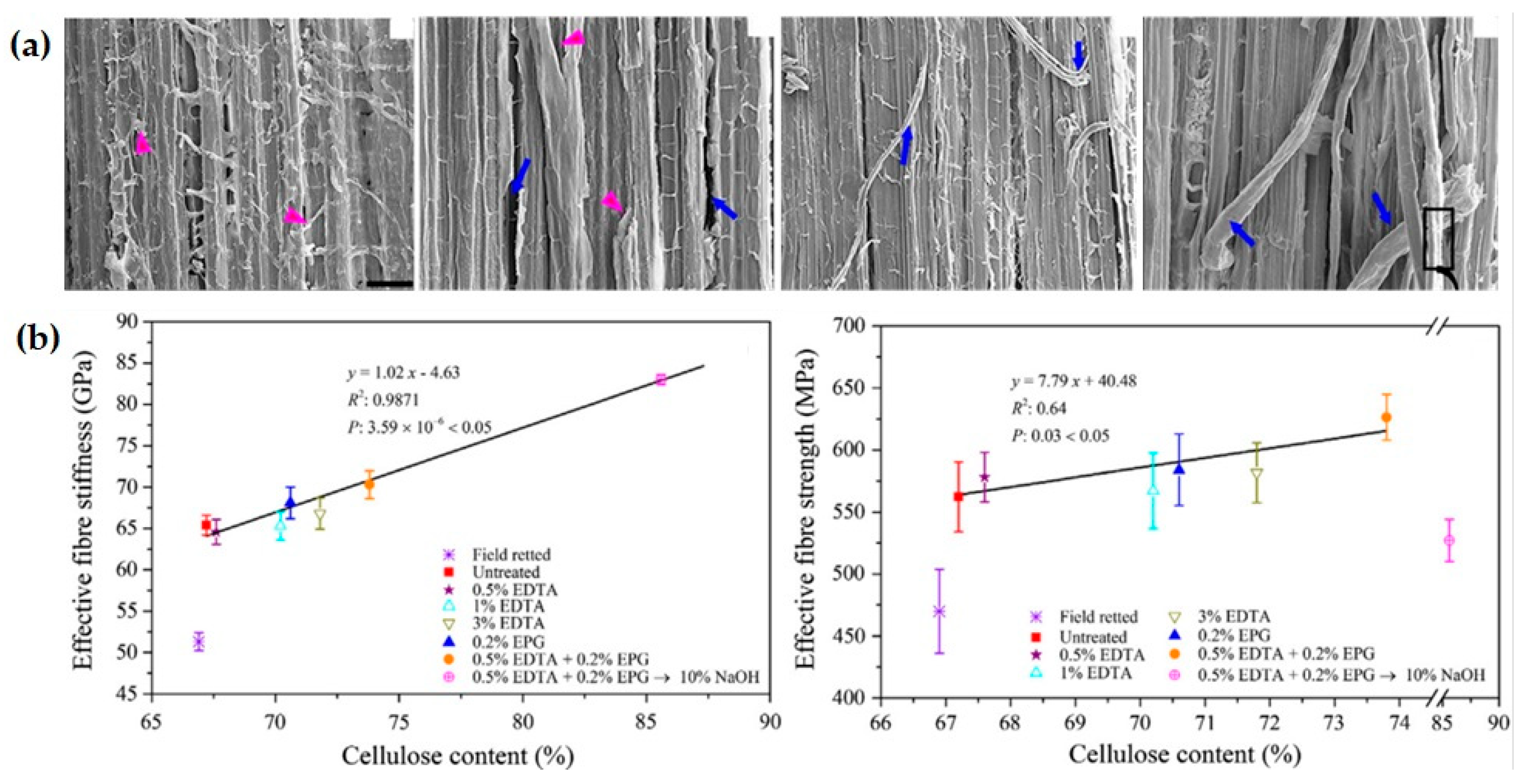 Fibers 11 00043 g006