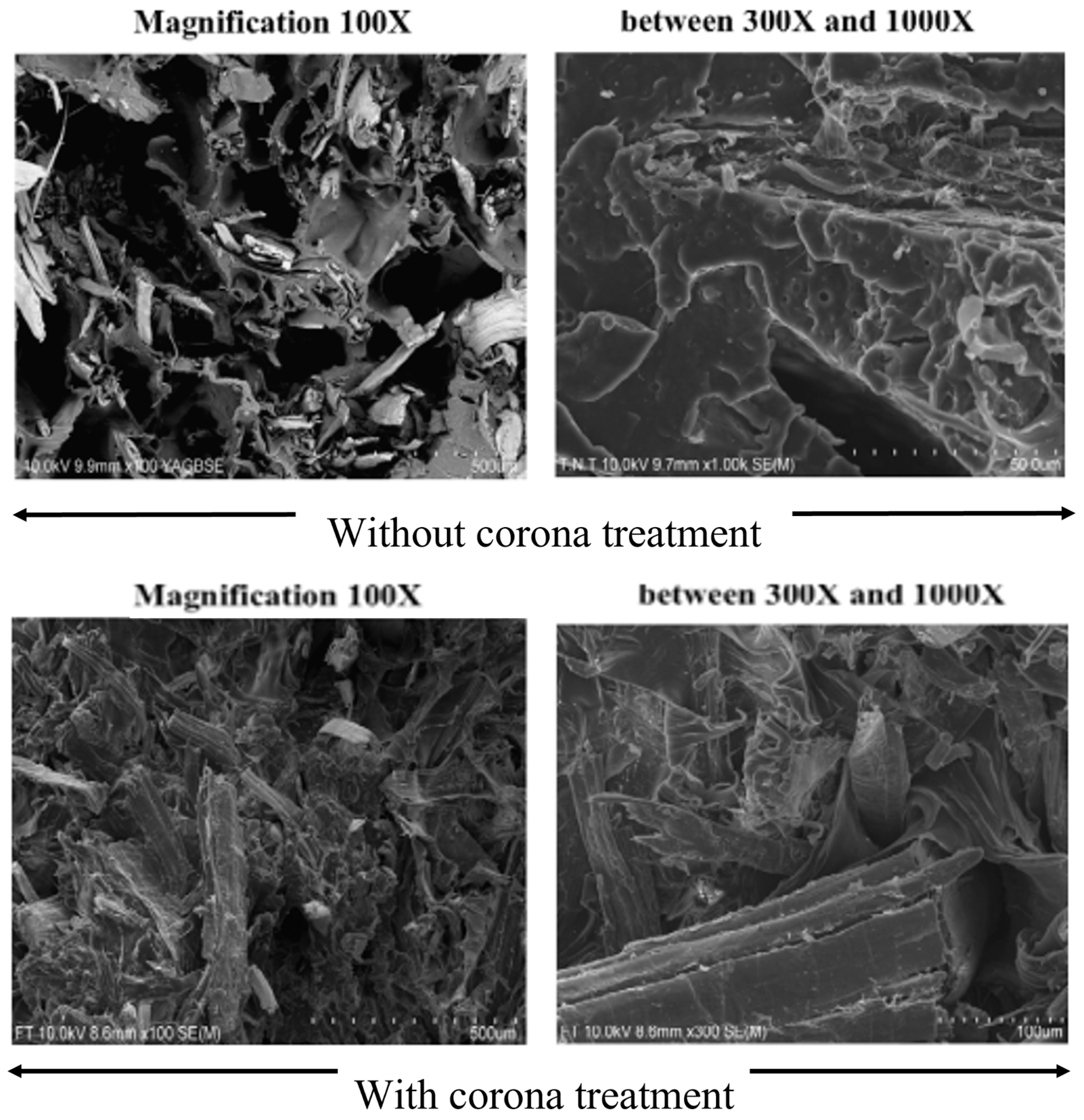 Fibers 11 00043 g009