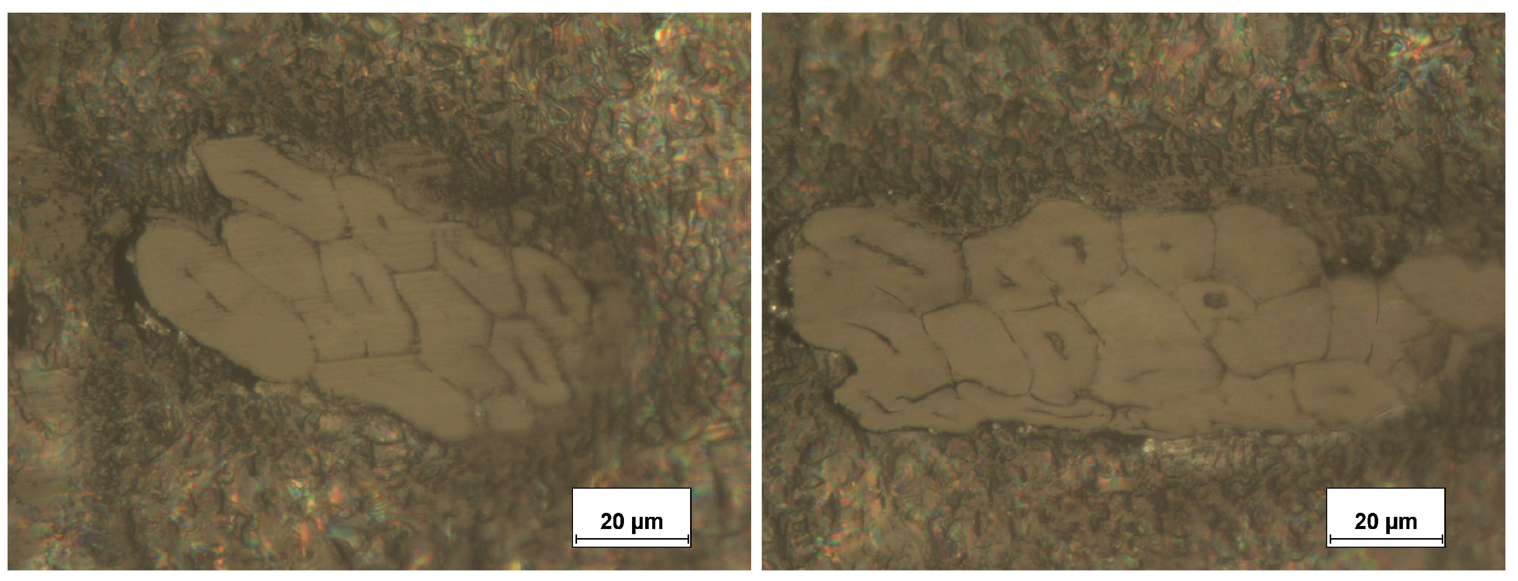 Fibers 11 00045 g001