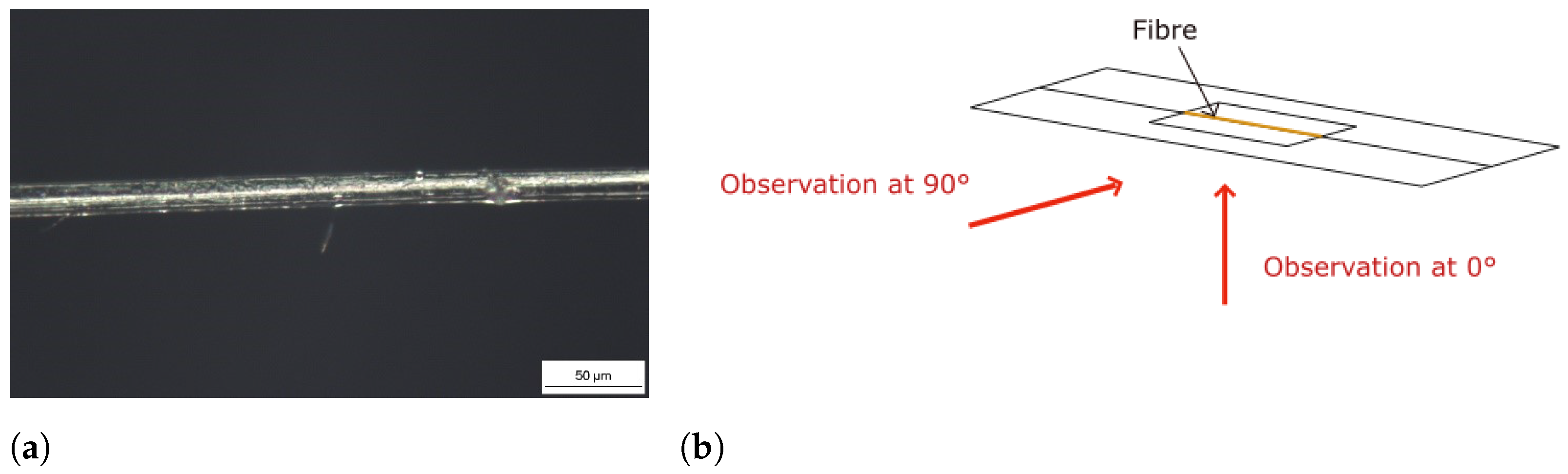 Fibers 11 00045 g003