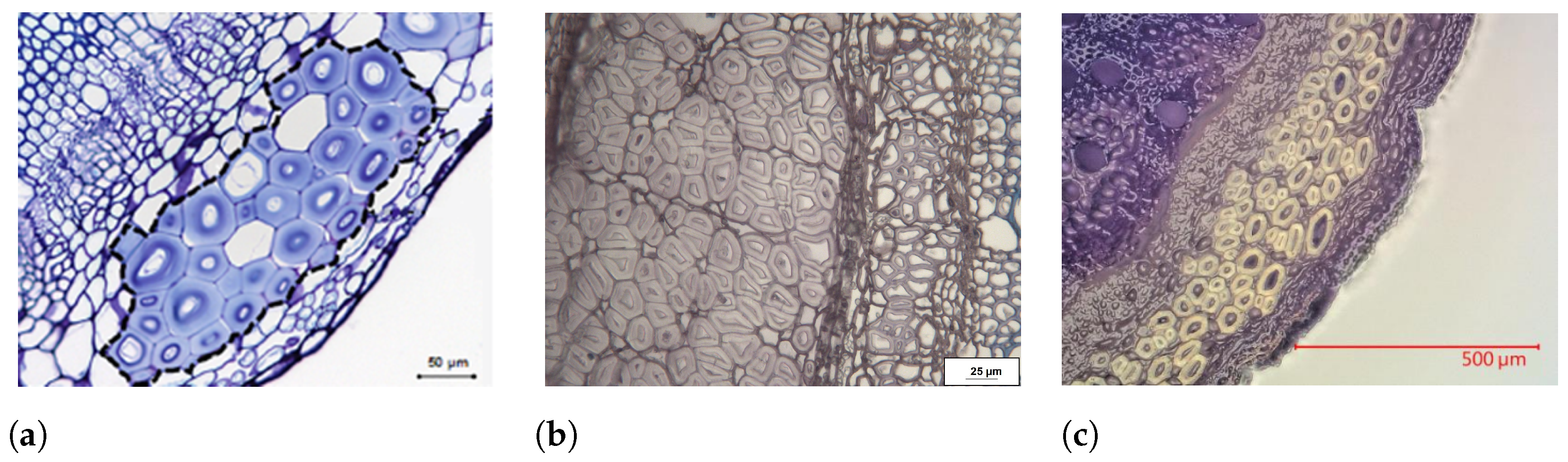 Fibers 11 00045 g007