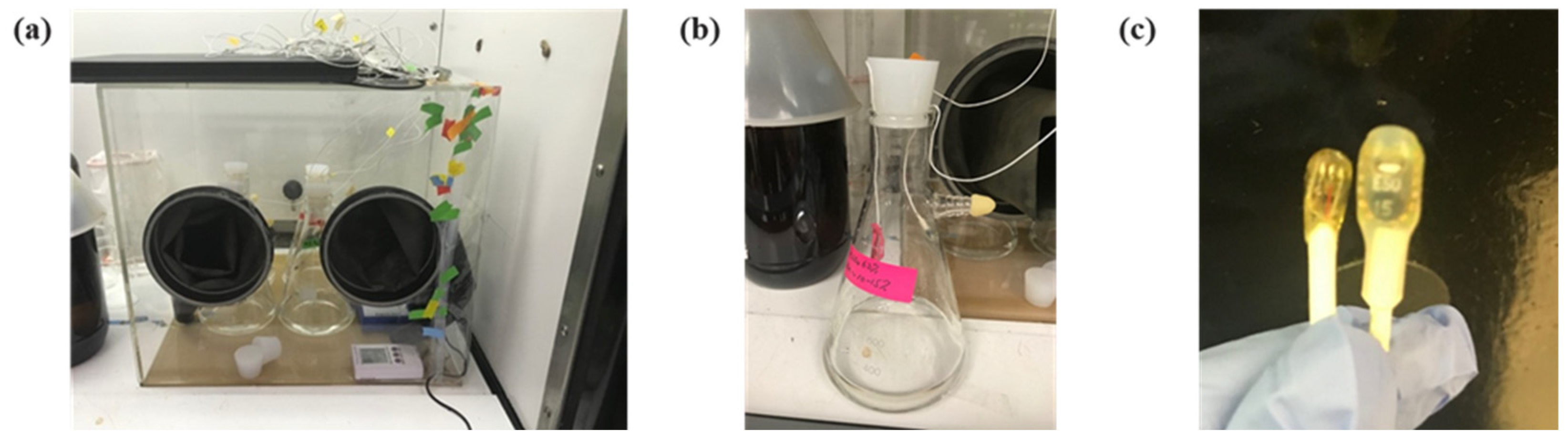 Fibers 11 00047 g002