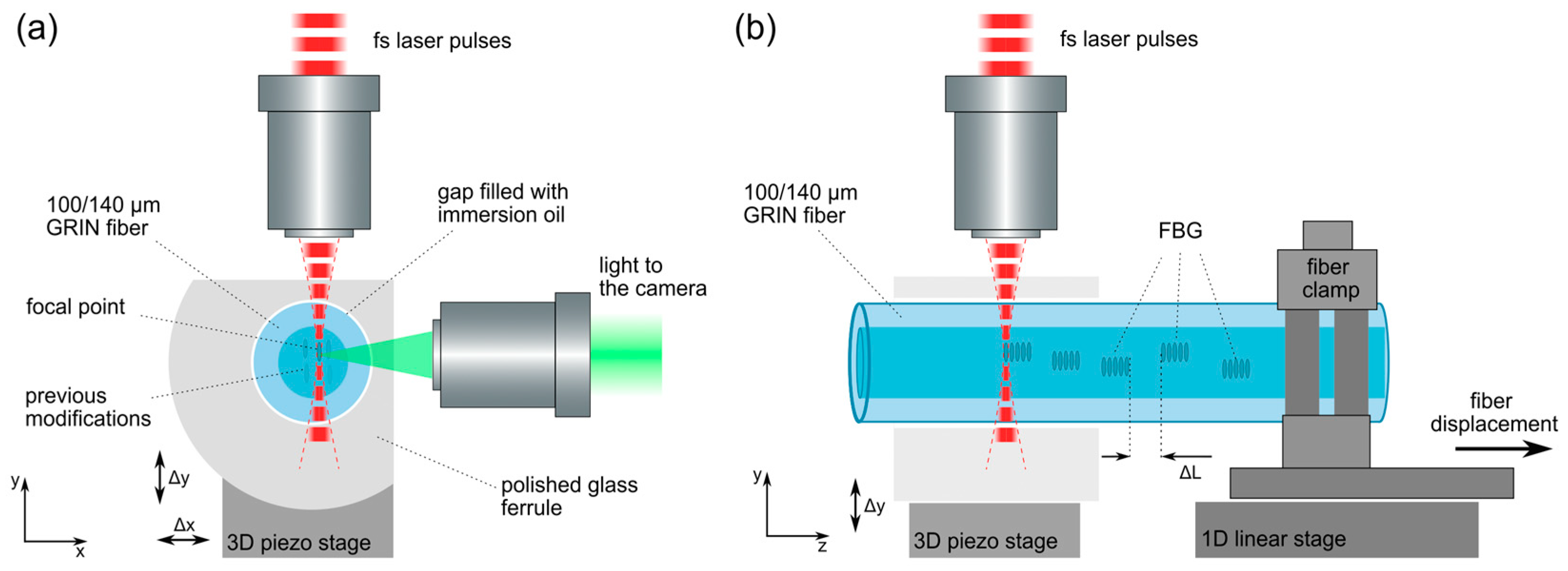 Fibers 11 00048 g001