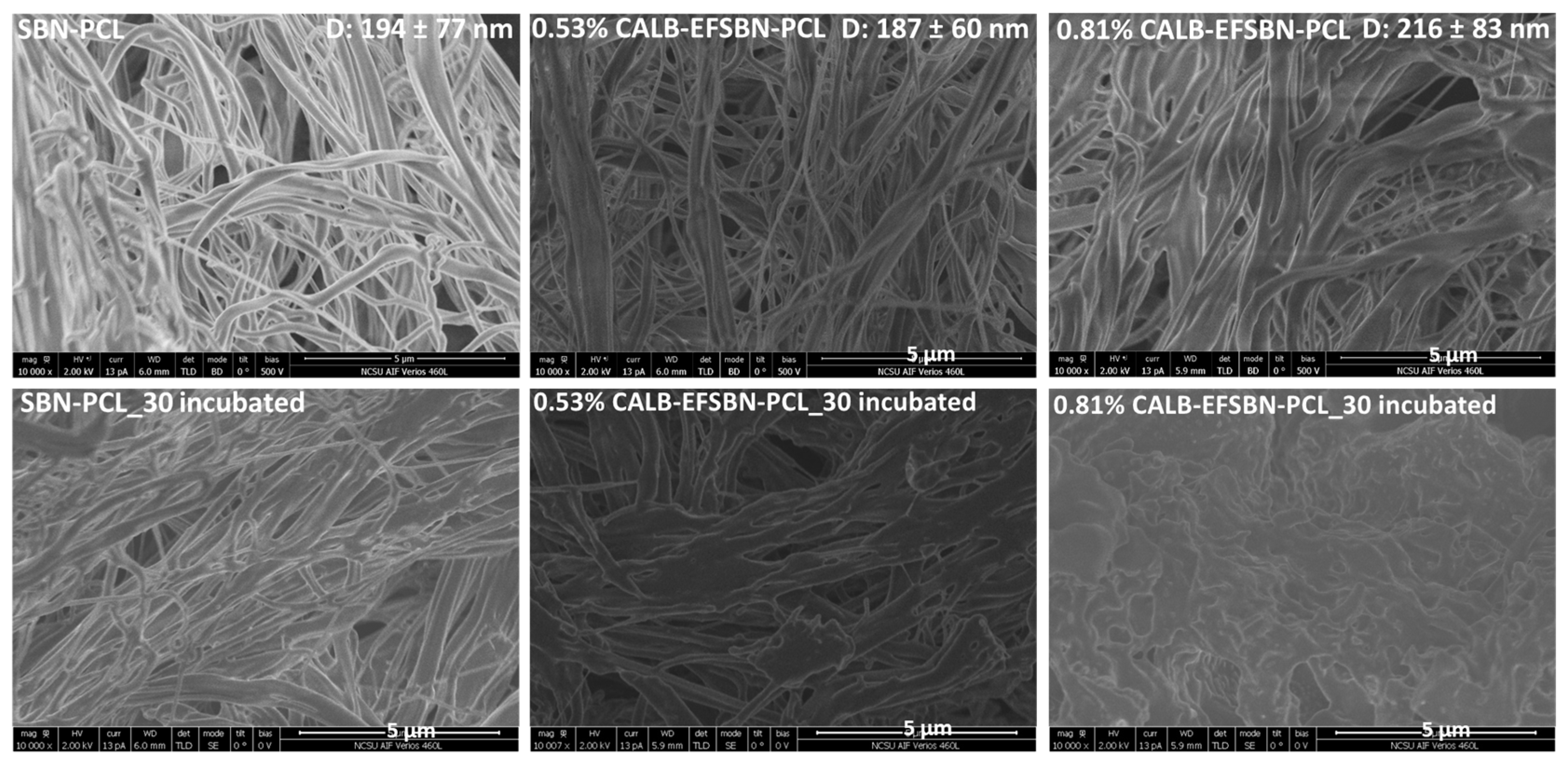 Fibers 11 00049 g007