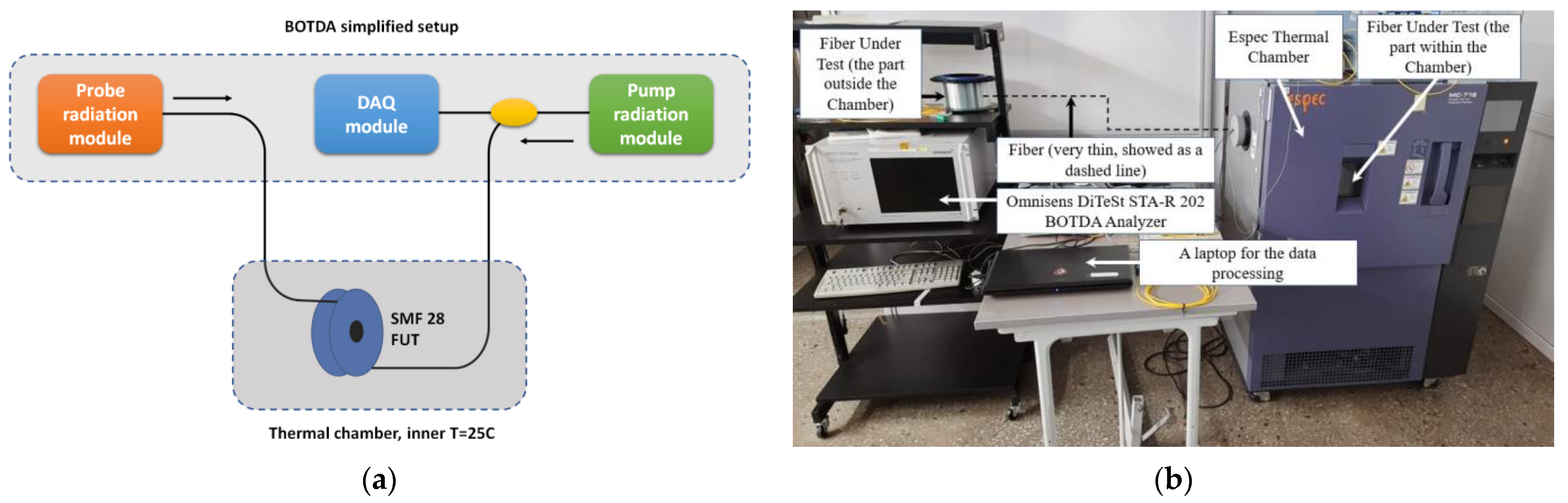 Fibers 11 00051 g008