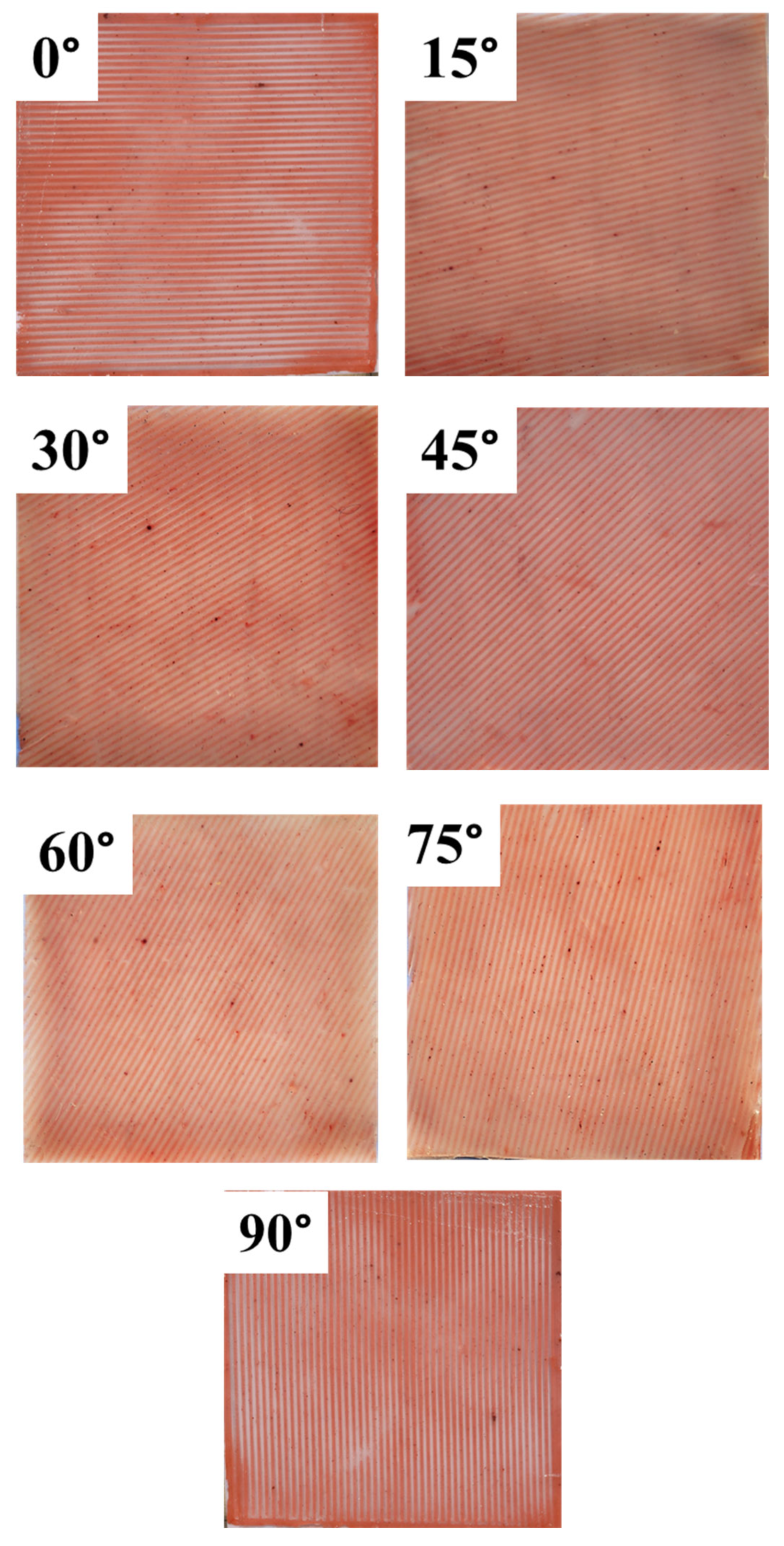 Fibers 11 00055 g002