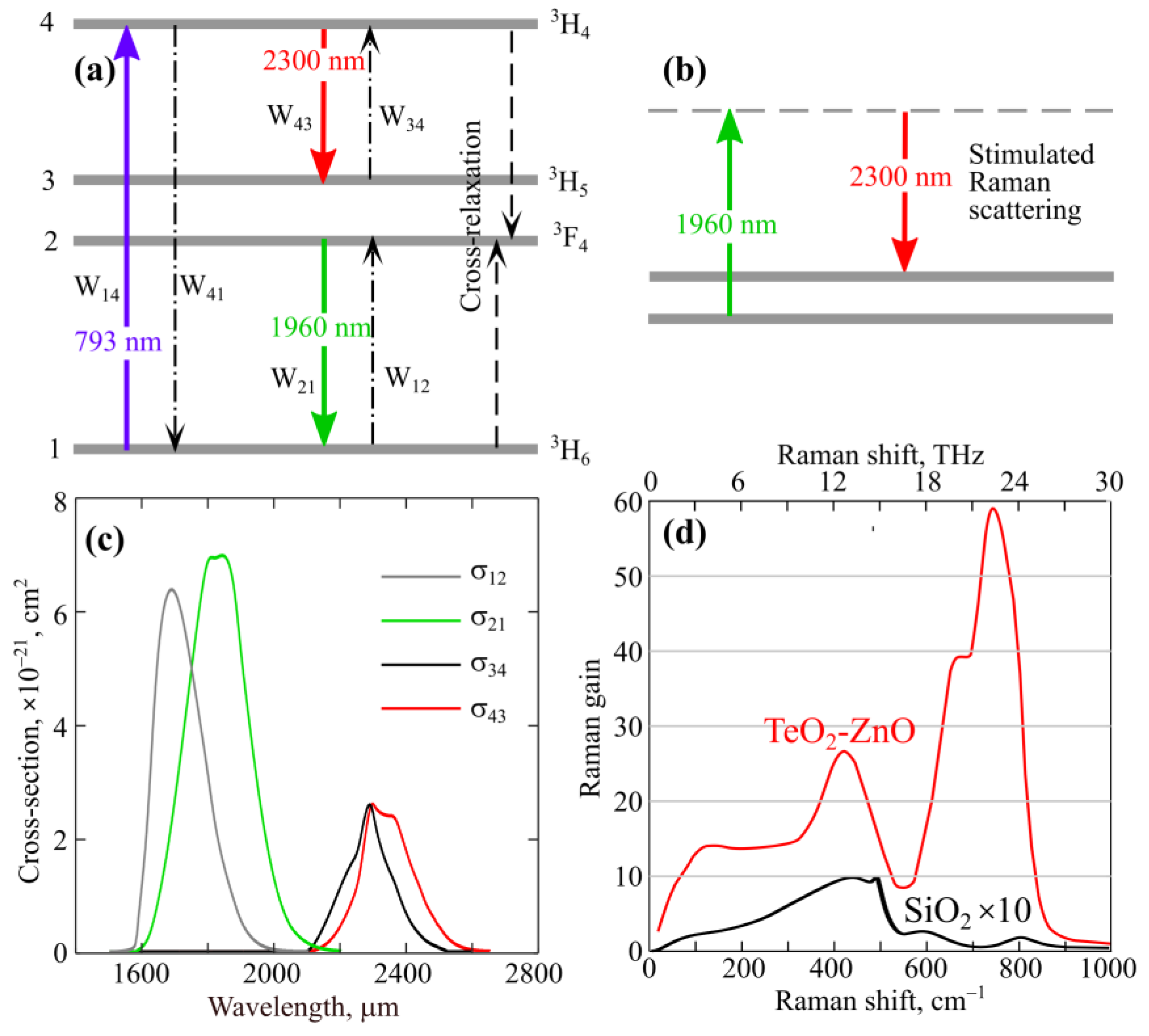 Fibers 11 00057 g001