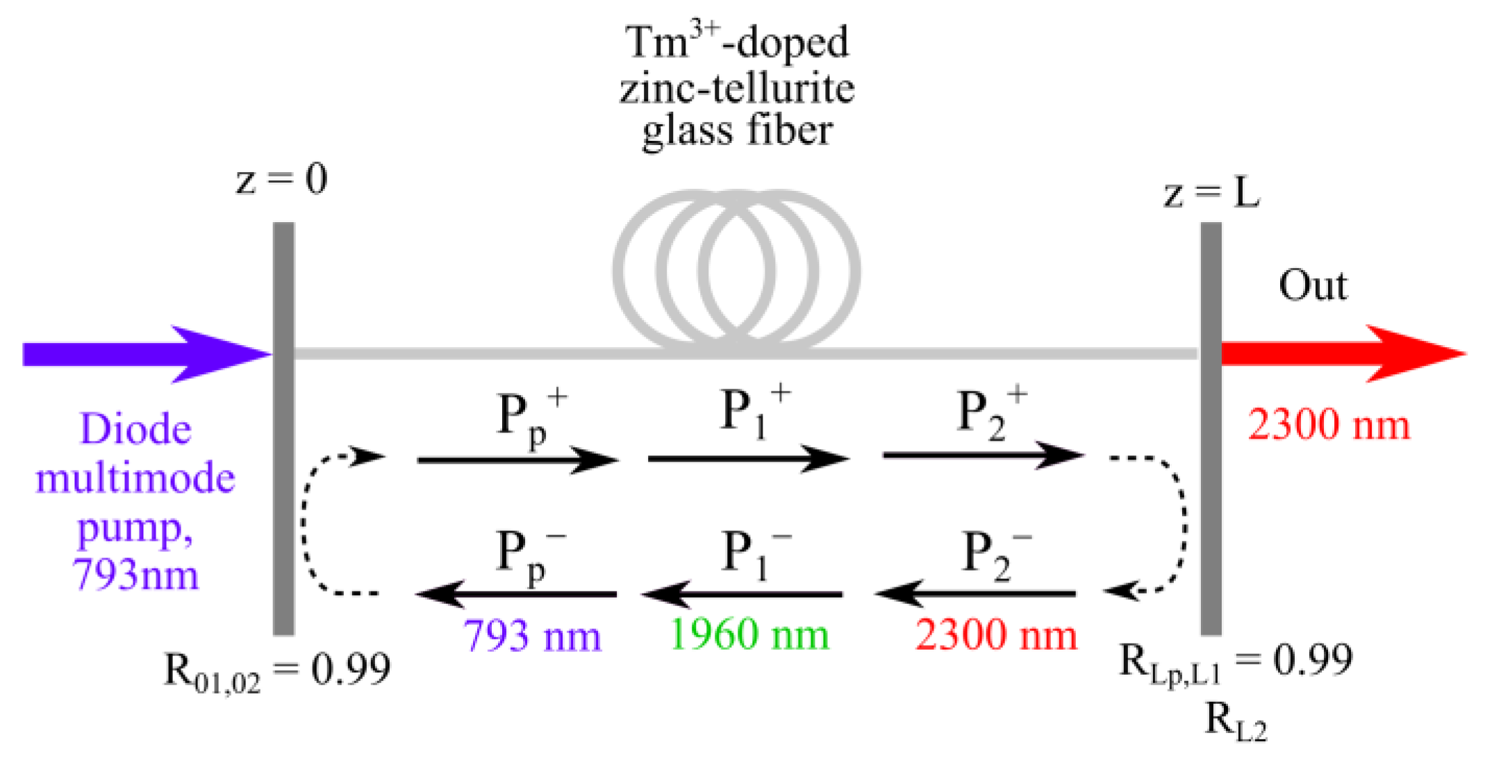 Fibers 11 00057 g002