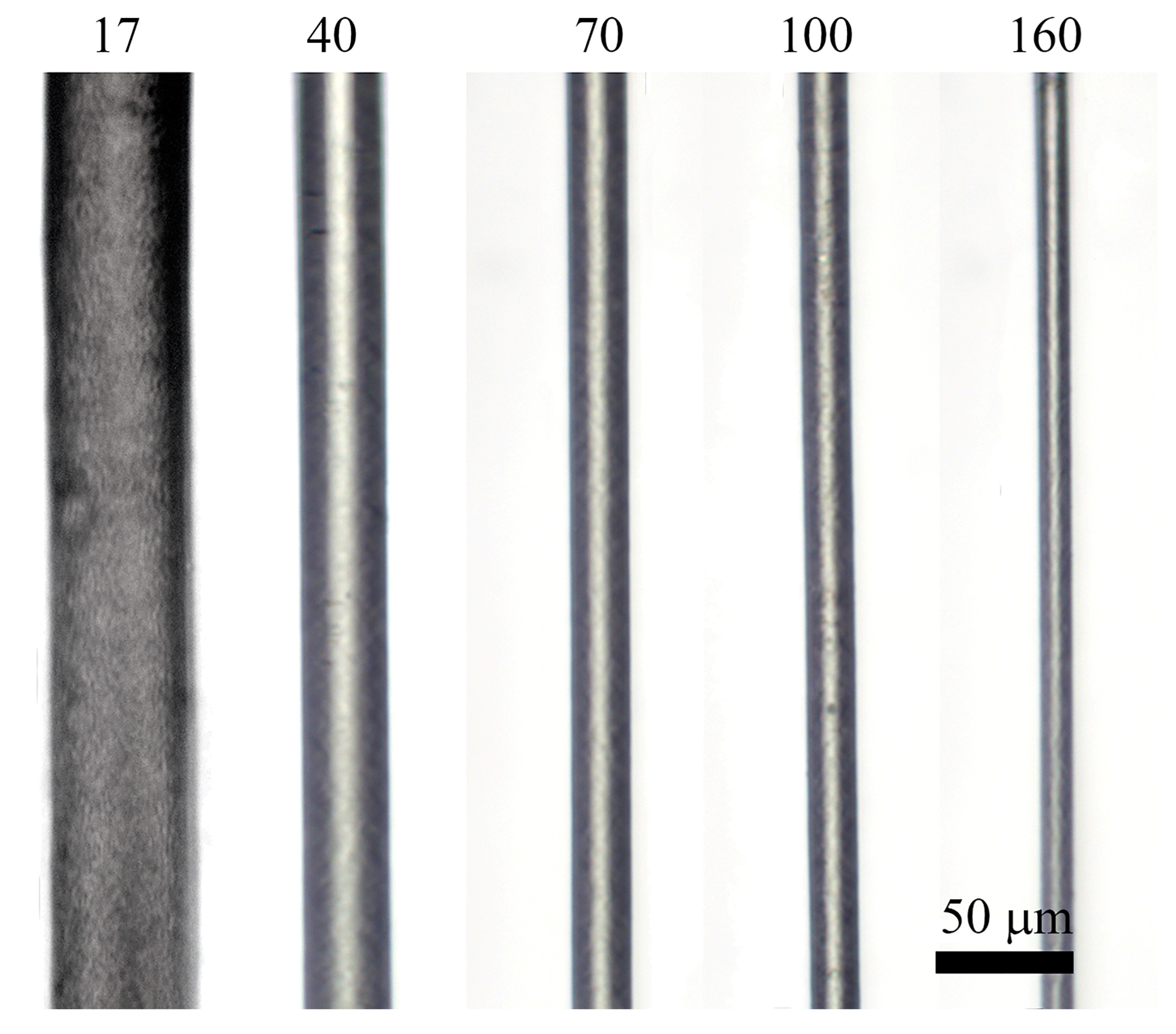 Fibers 11 00065 g007
