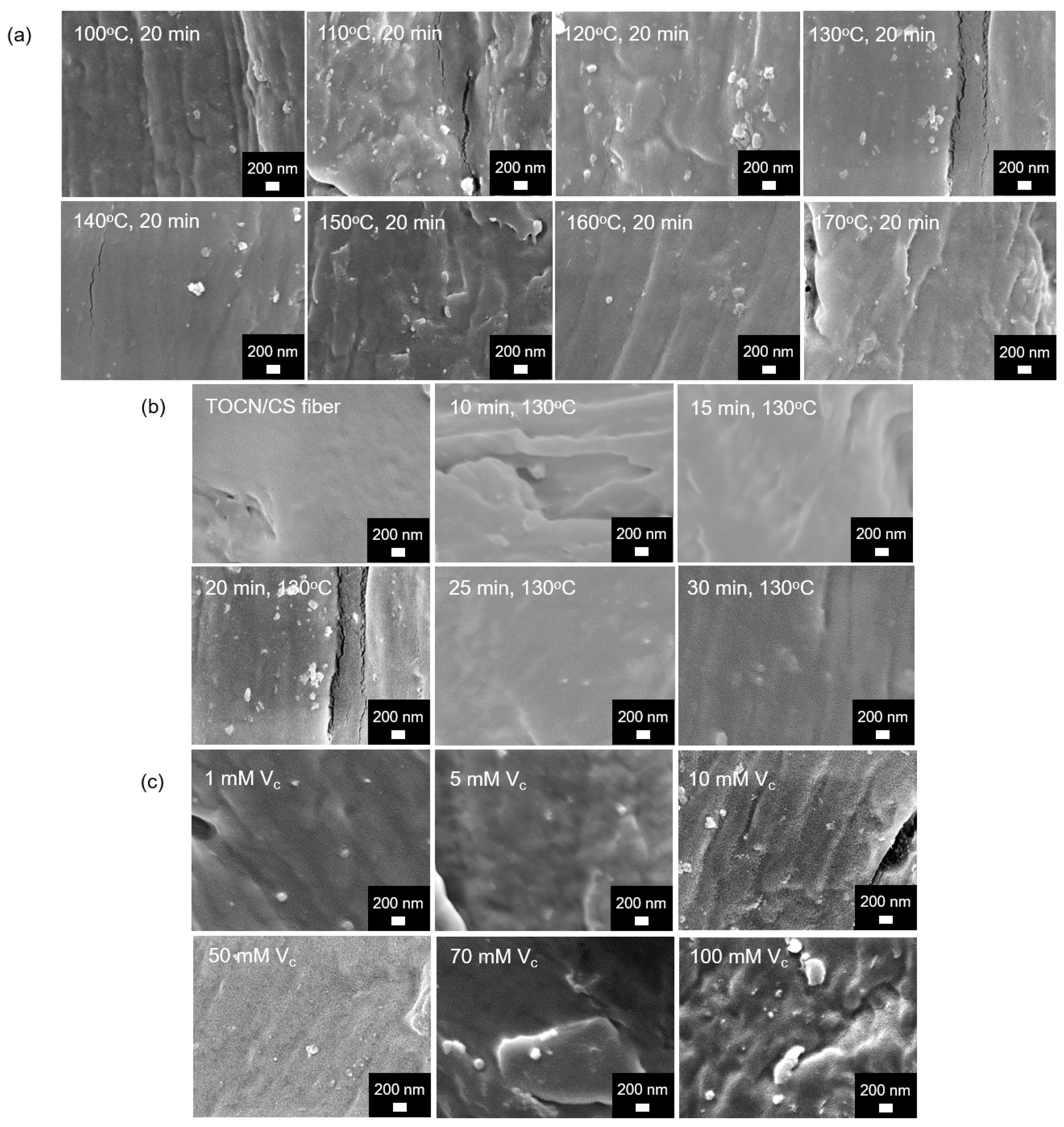 Fibers 11 00069 g005