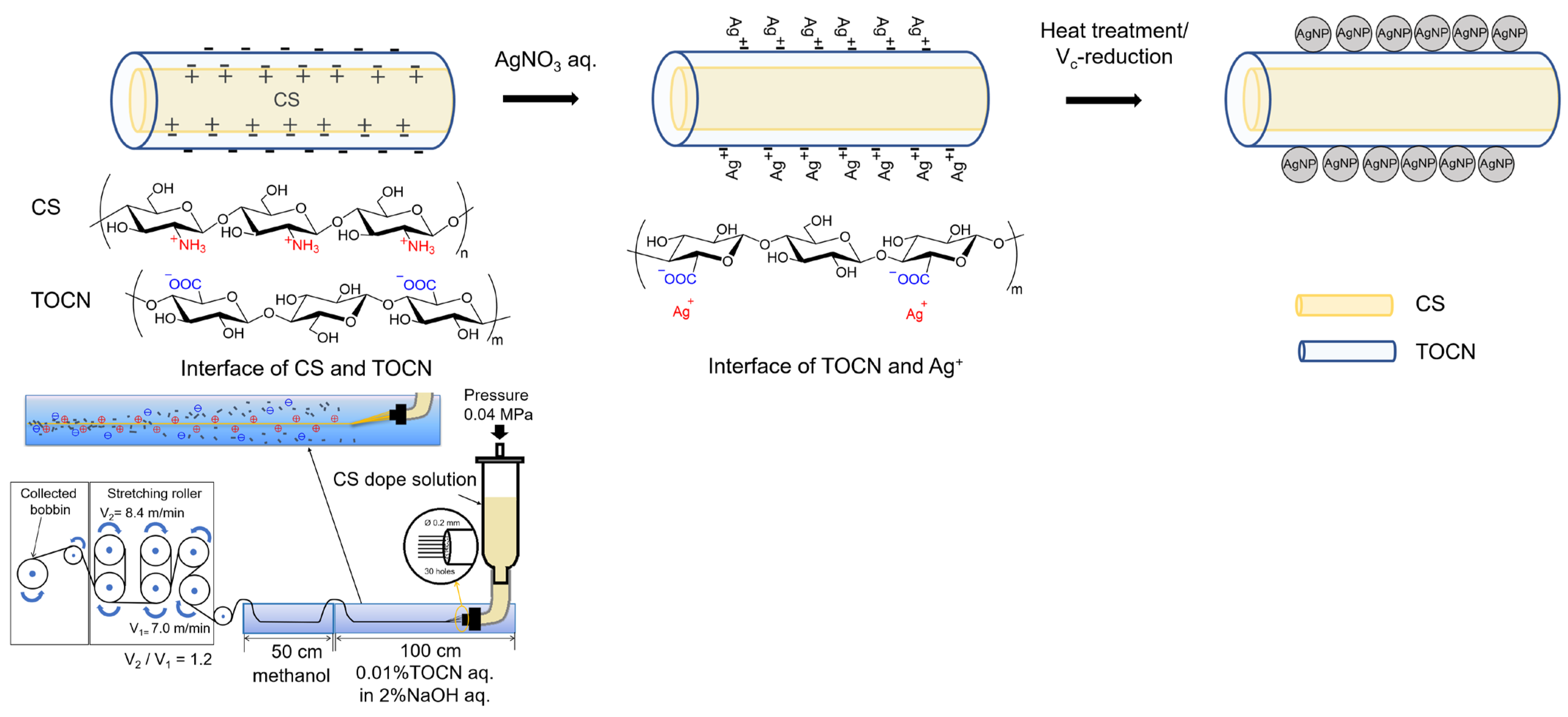 Fibers 11 00069 g007
