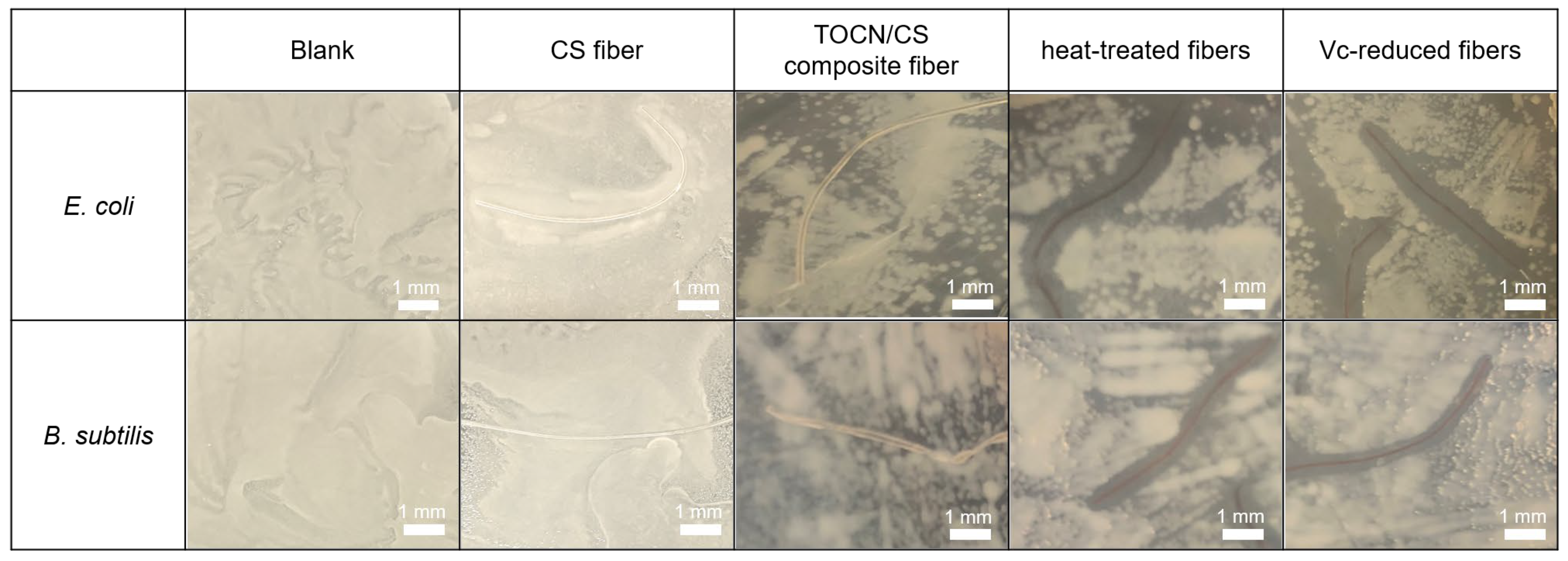 Fibers 11 00069 g012