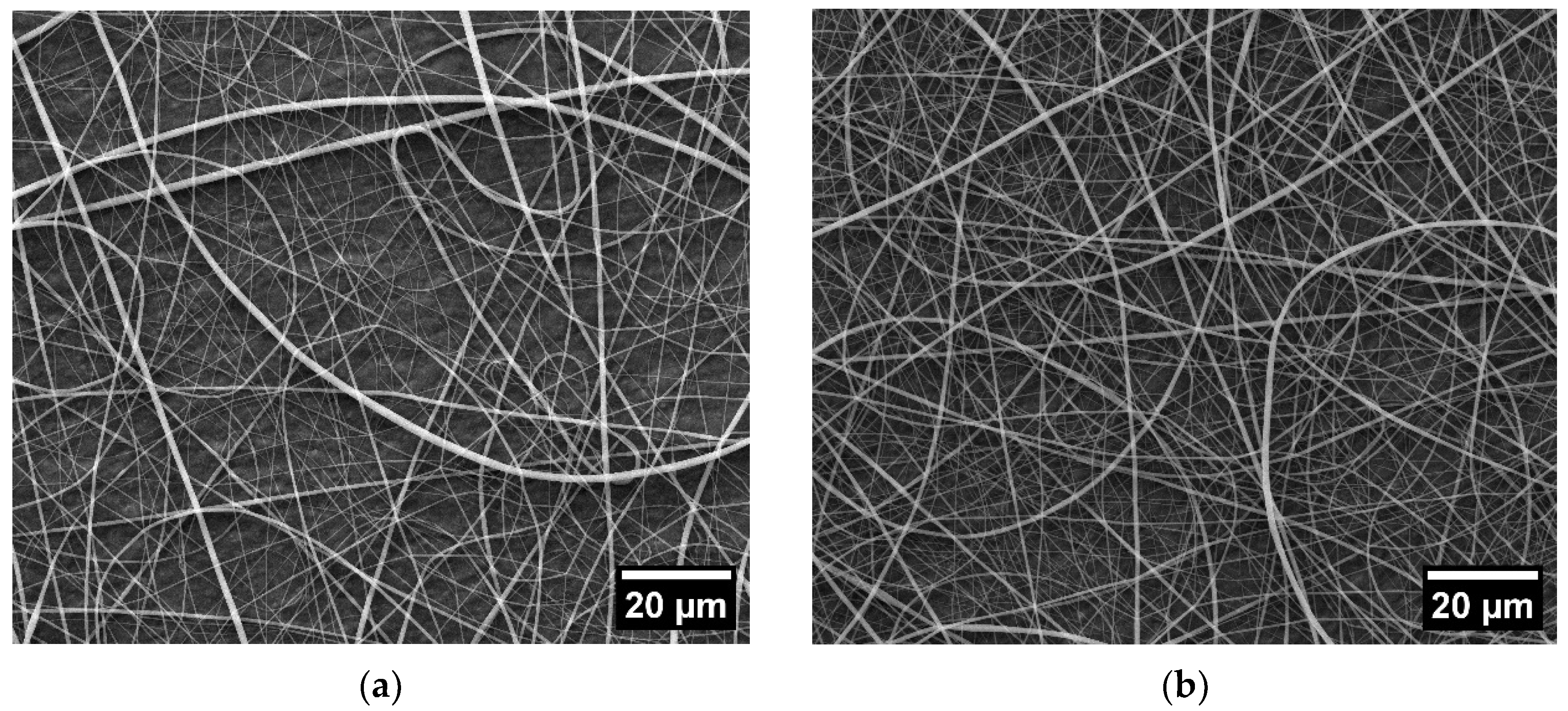 Fibers 11 00071 g002a