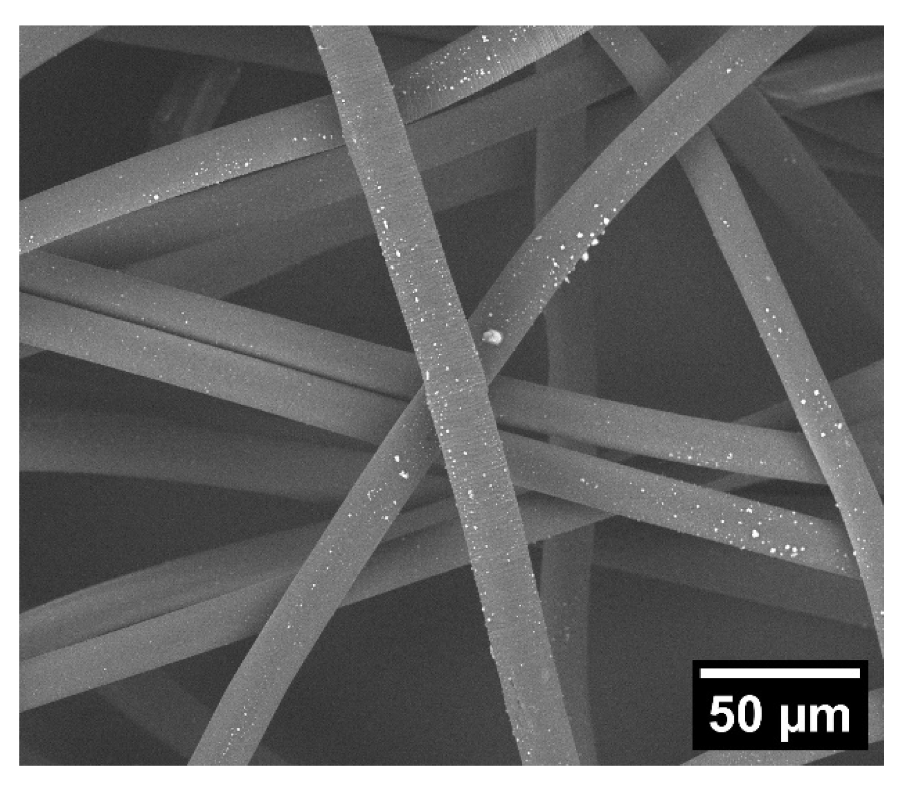 Fibers 11 00071 g008