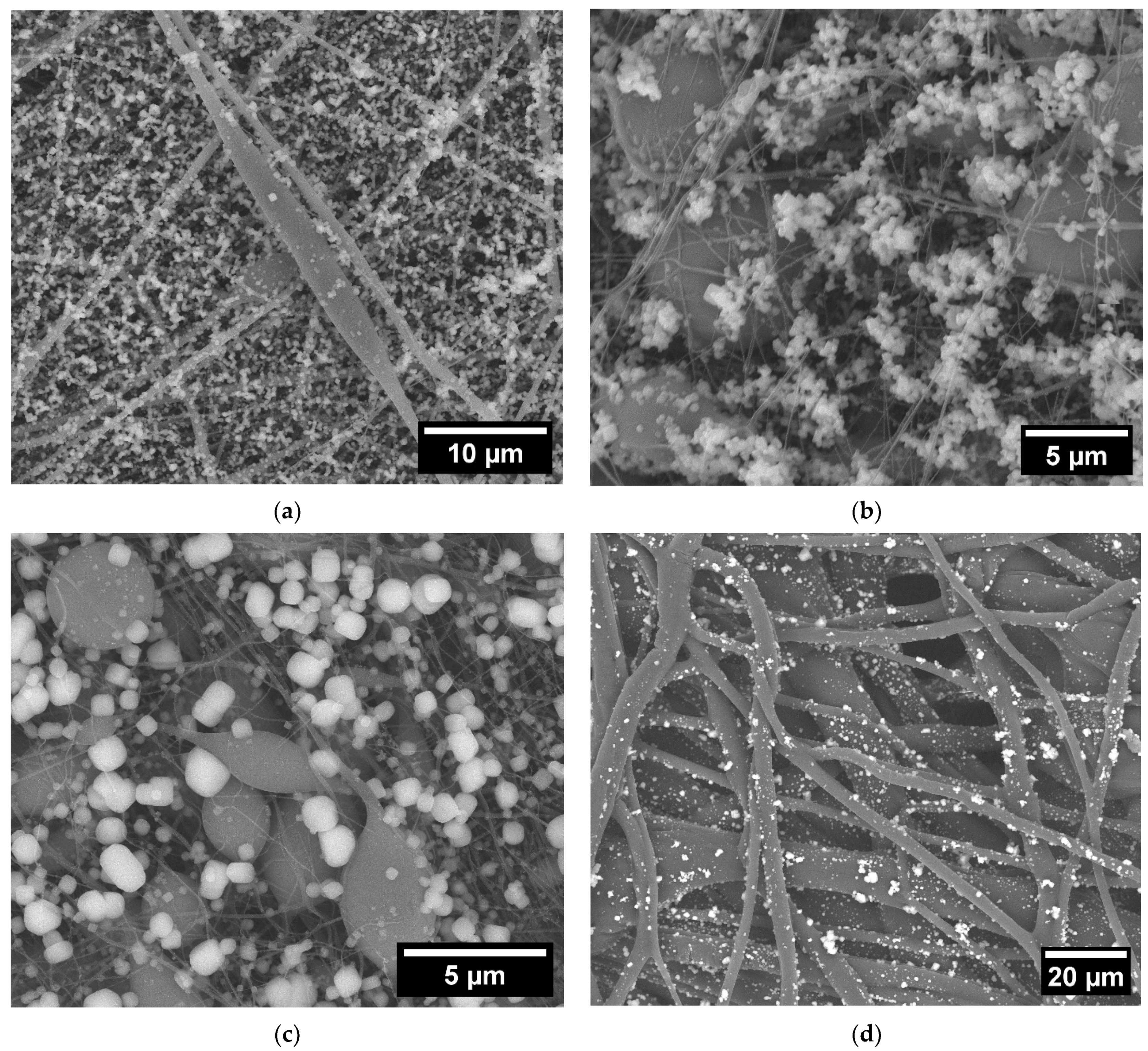 Fibers 11 00071 g010