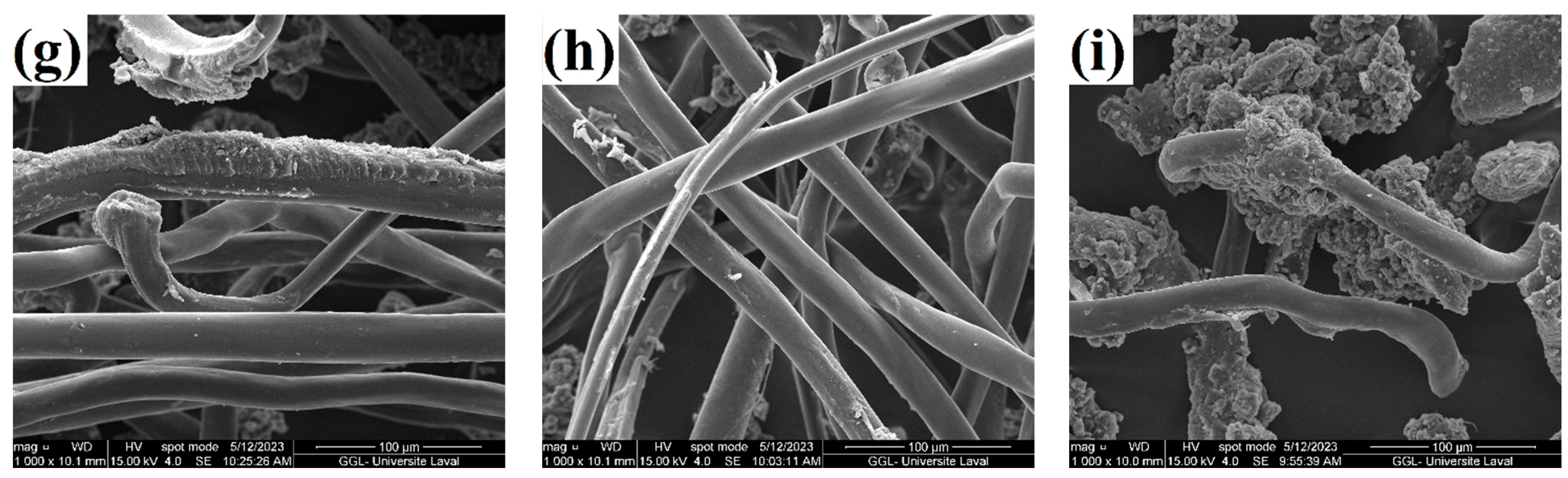 Fibers 11 00074 g002b