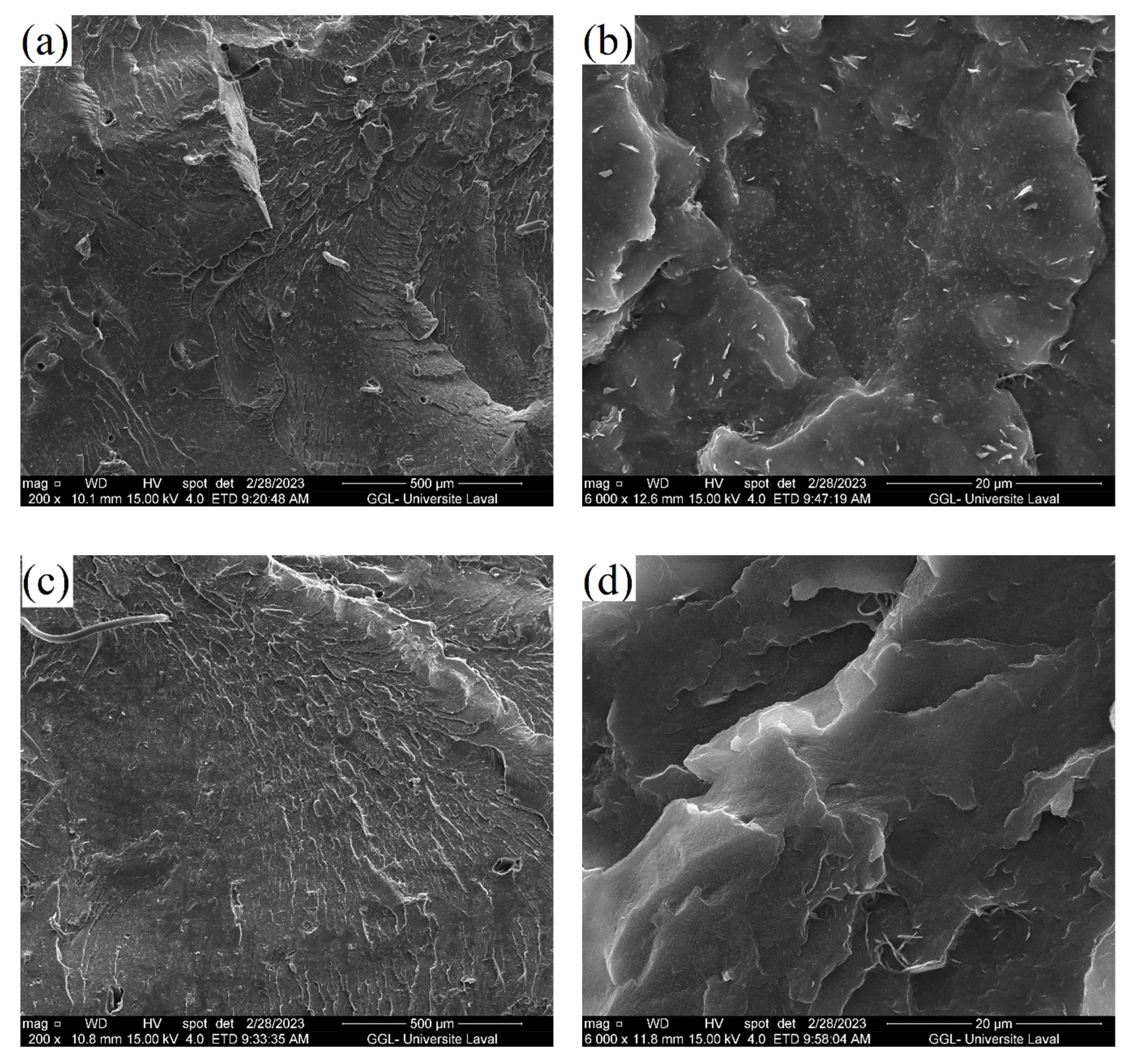 Fibers 11 00074 g008a