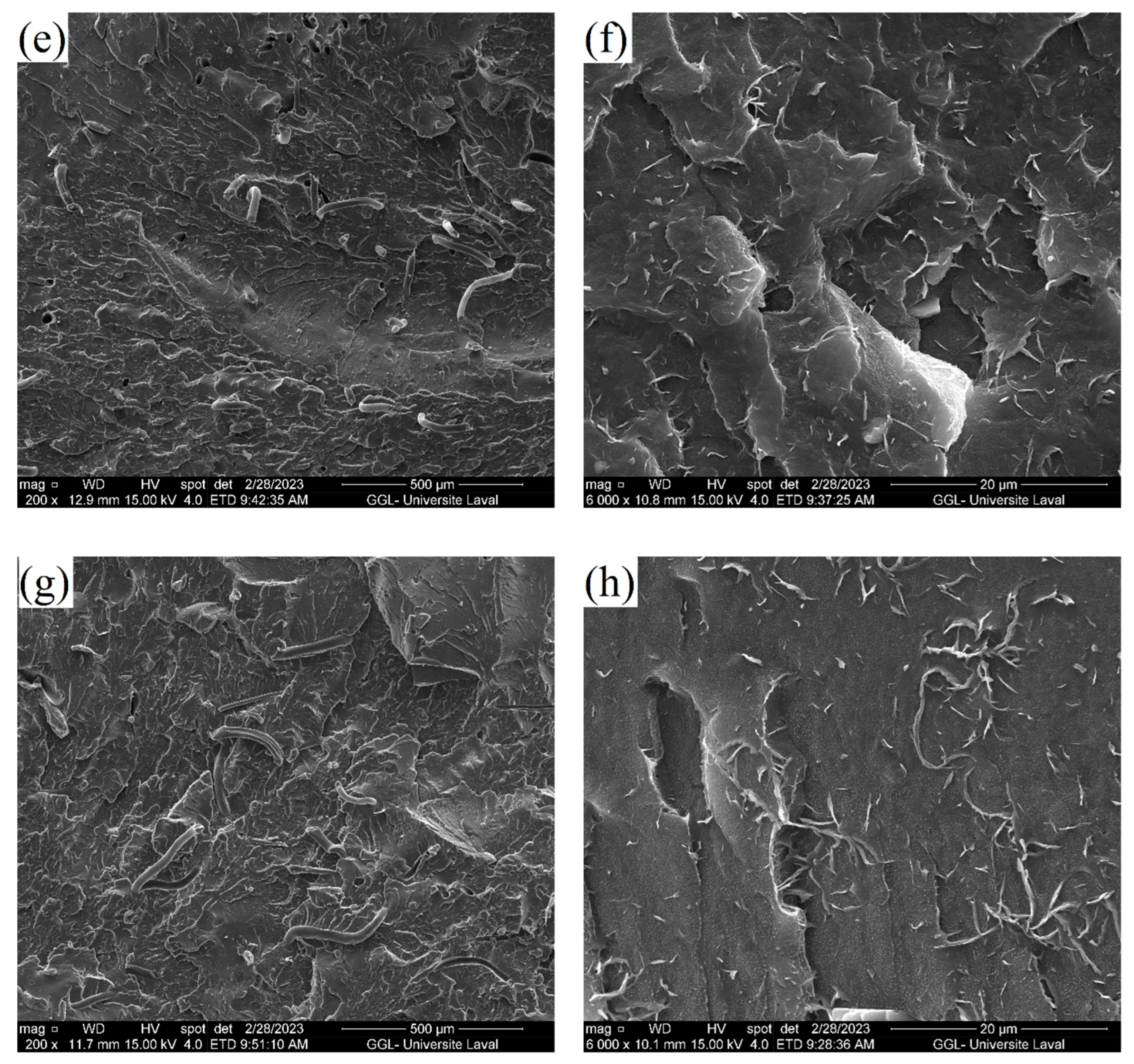Fibers 11 00074 g008b