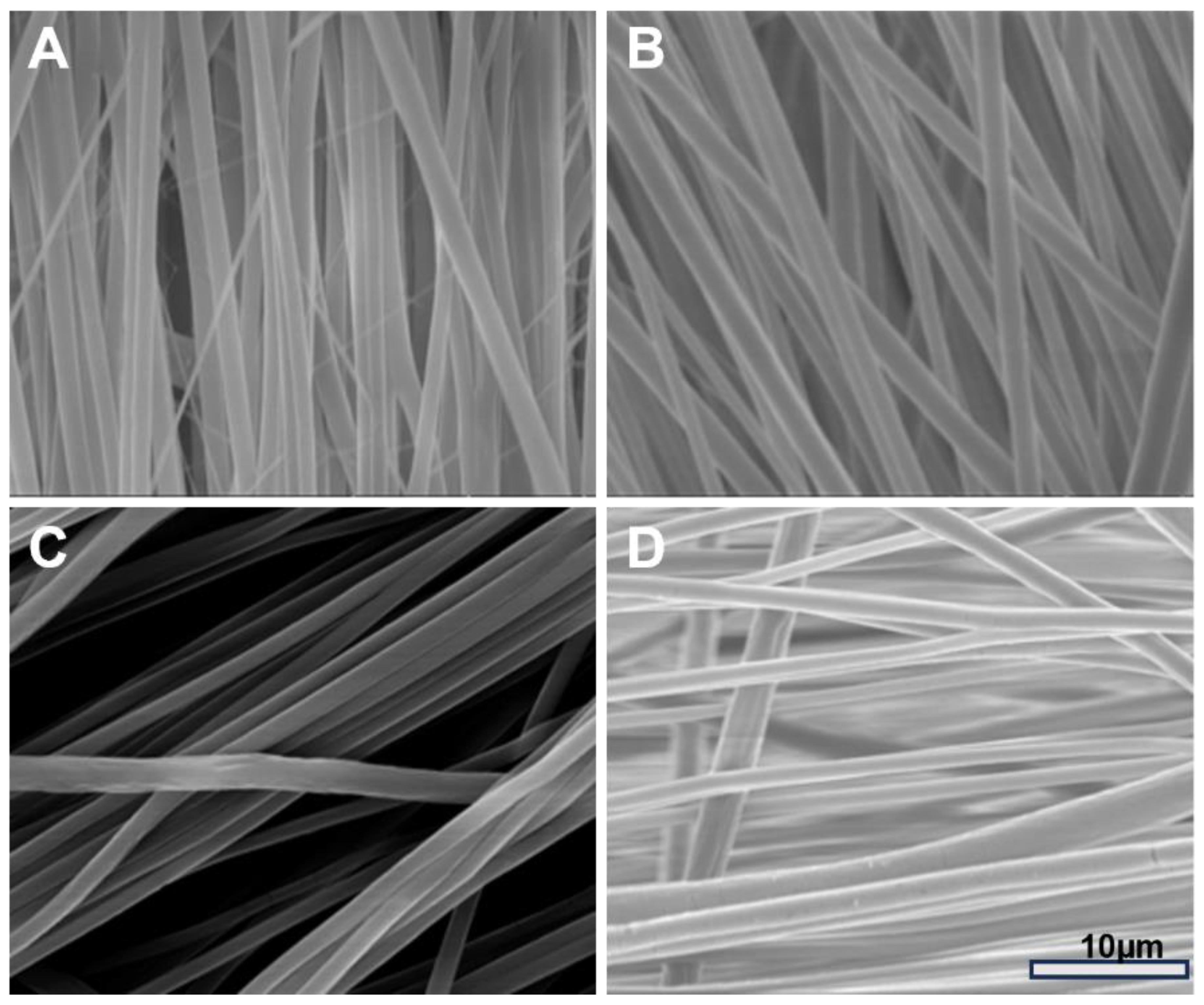 Fibers 11 00082 g001