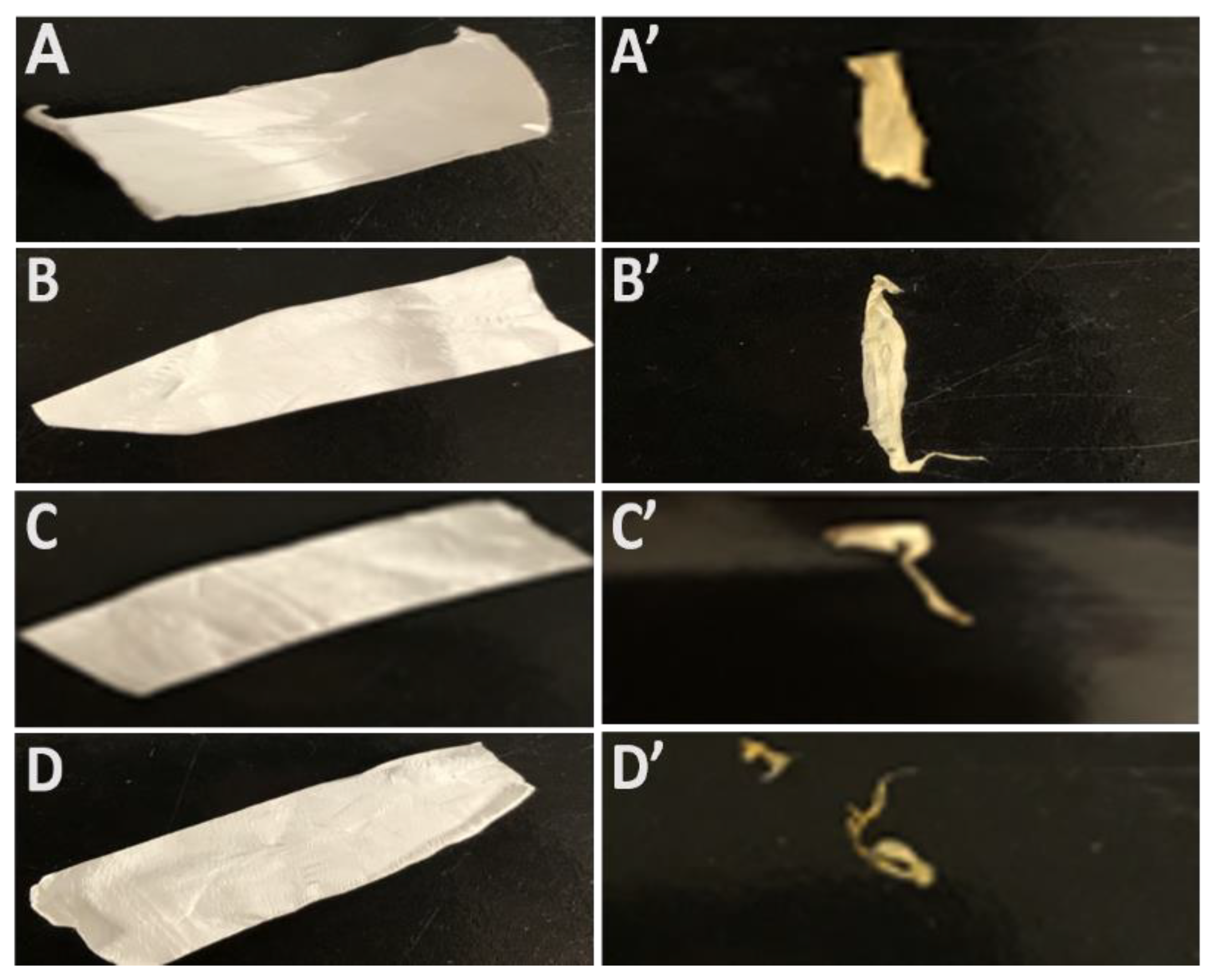 Fibers 11 00082 g004