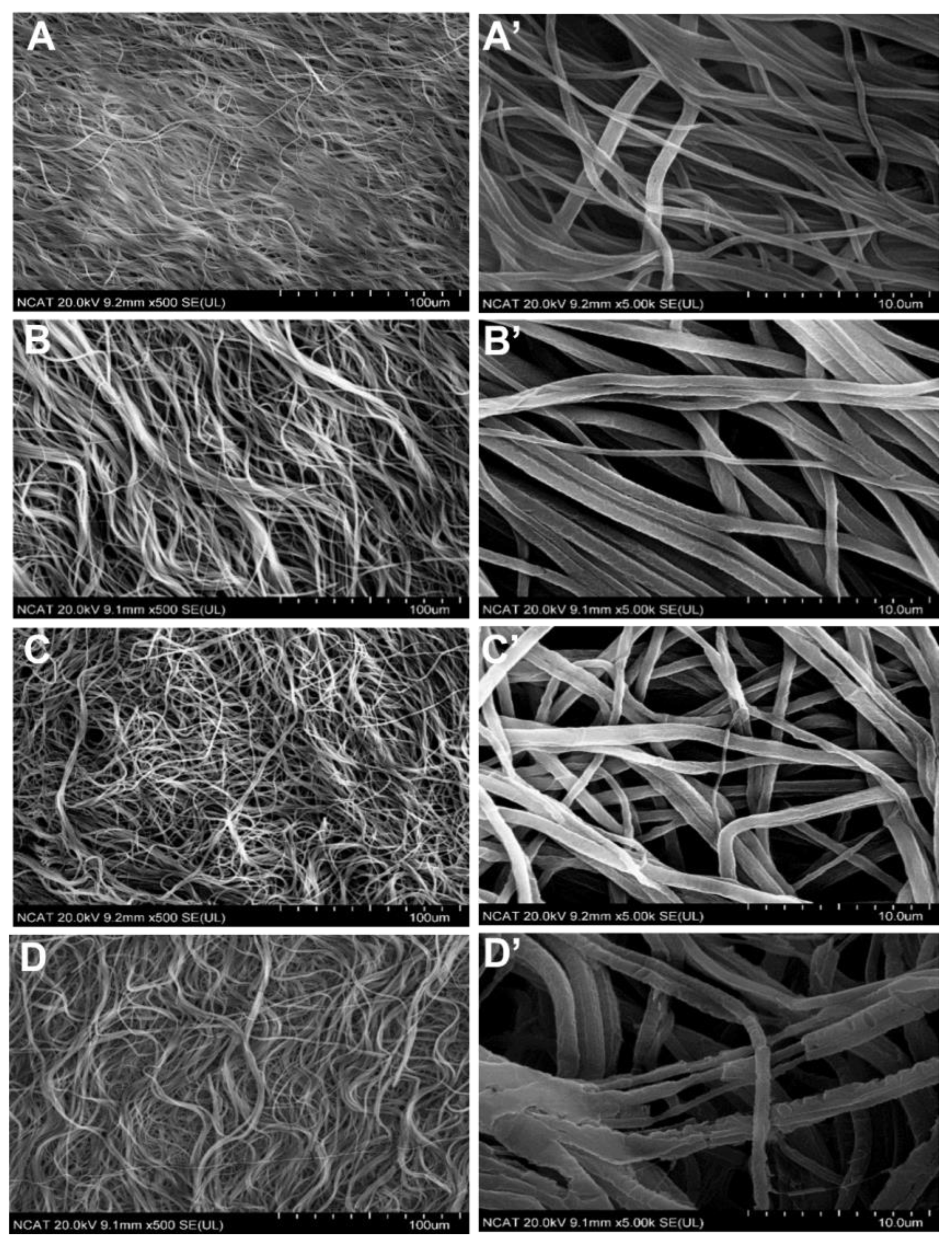 Fibers 11 00082 g005