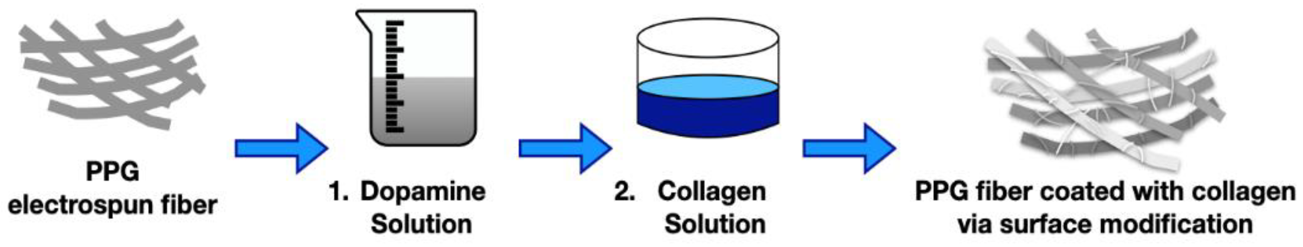 Fibers 11 00082 g007