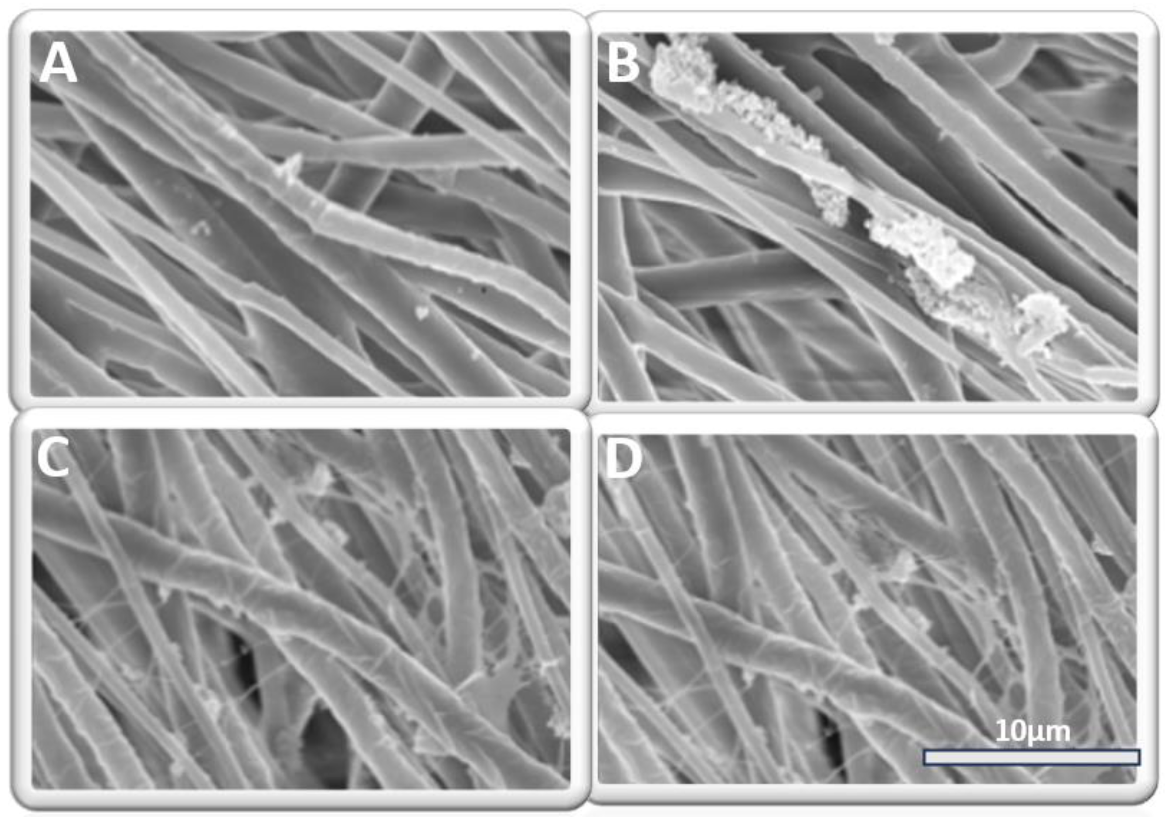 Fibers 11 00082 g008