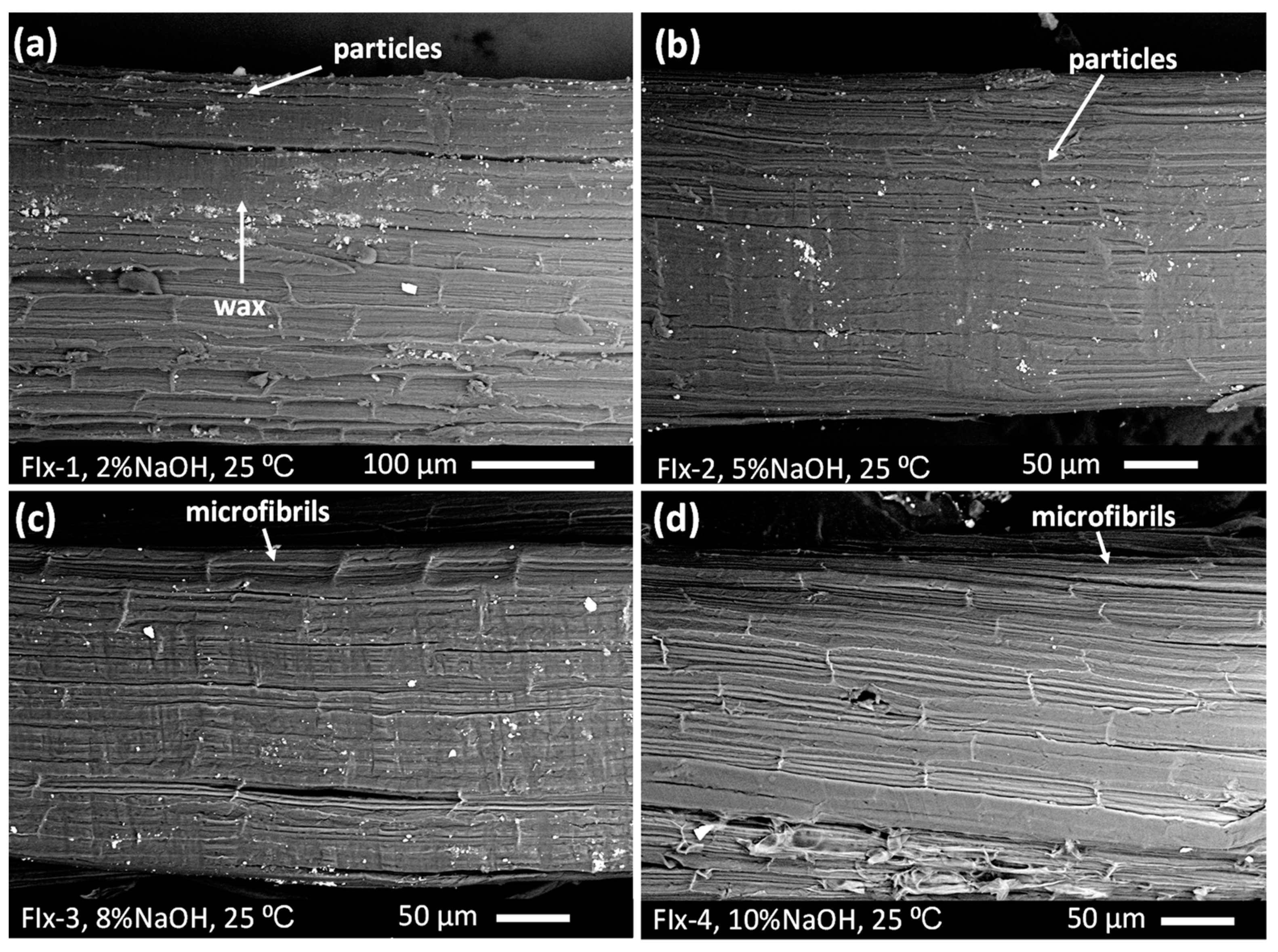 Fibers 11 00086 g002