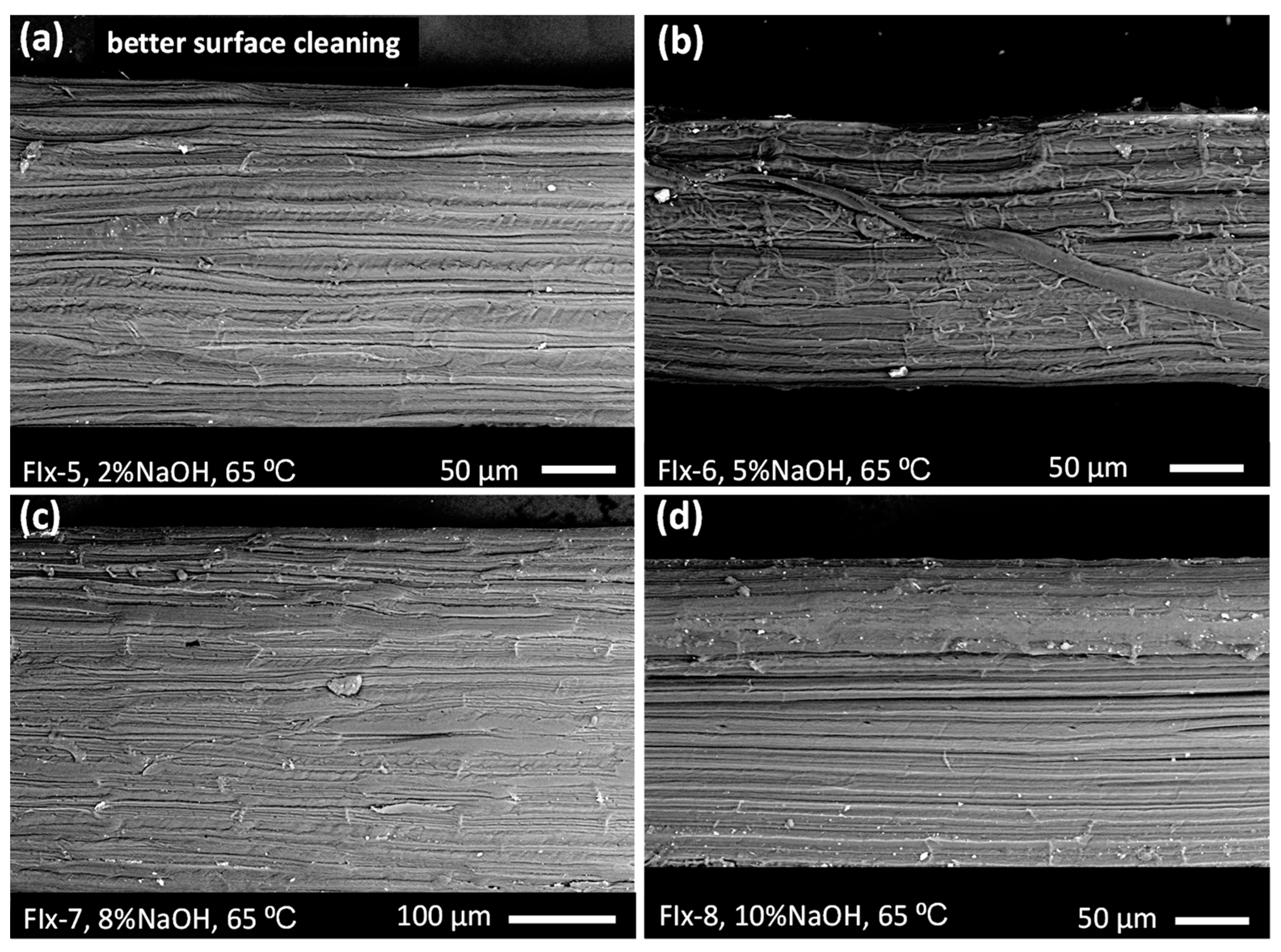 Fibers 11 00086 g003